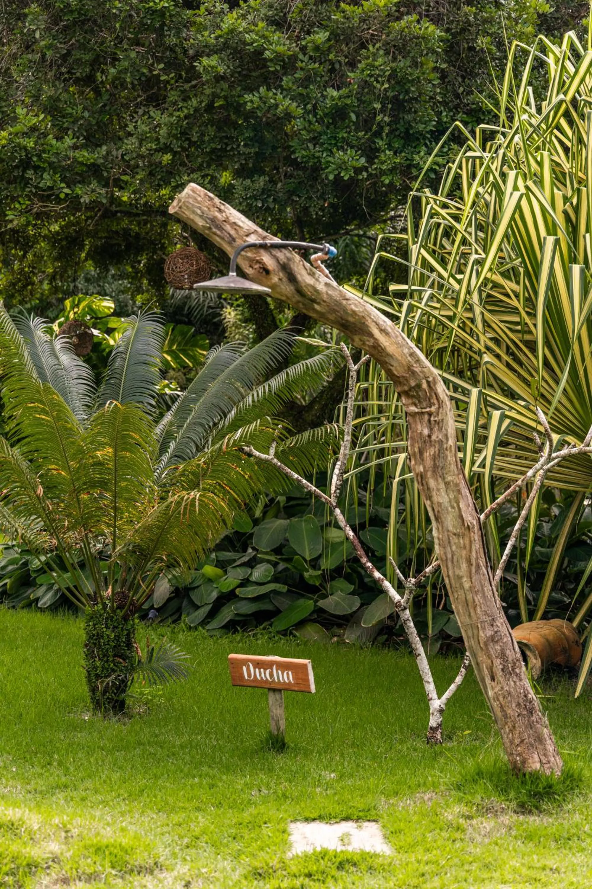 Garden in Hotel Boutique Bahia Bonita