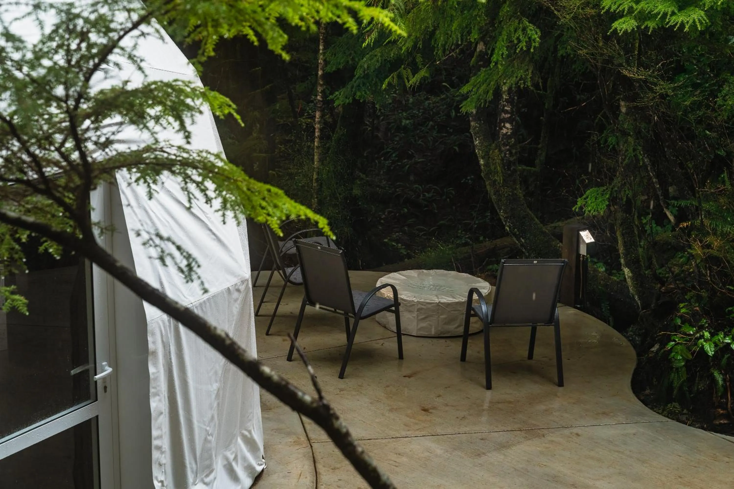 View (from property/room) in West Coast Trail Lodge