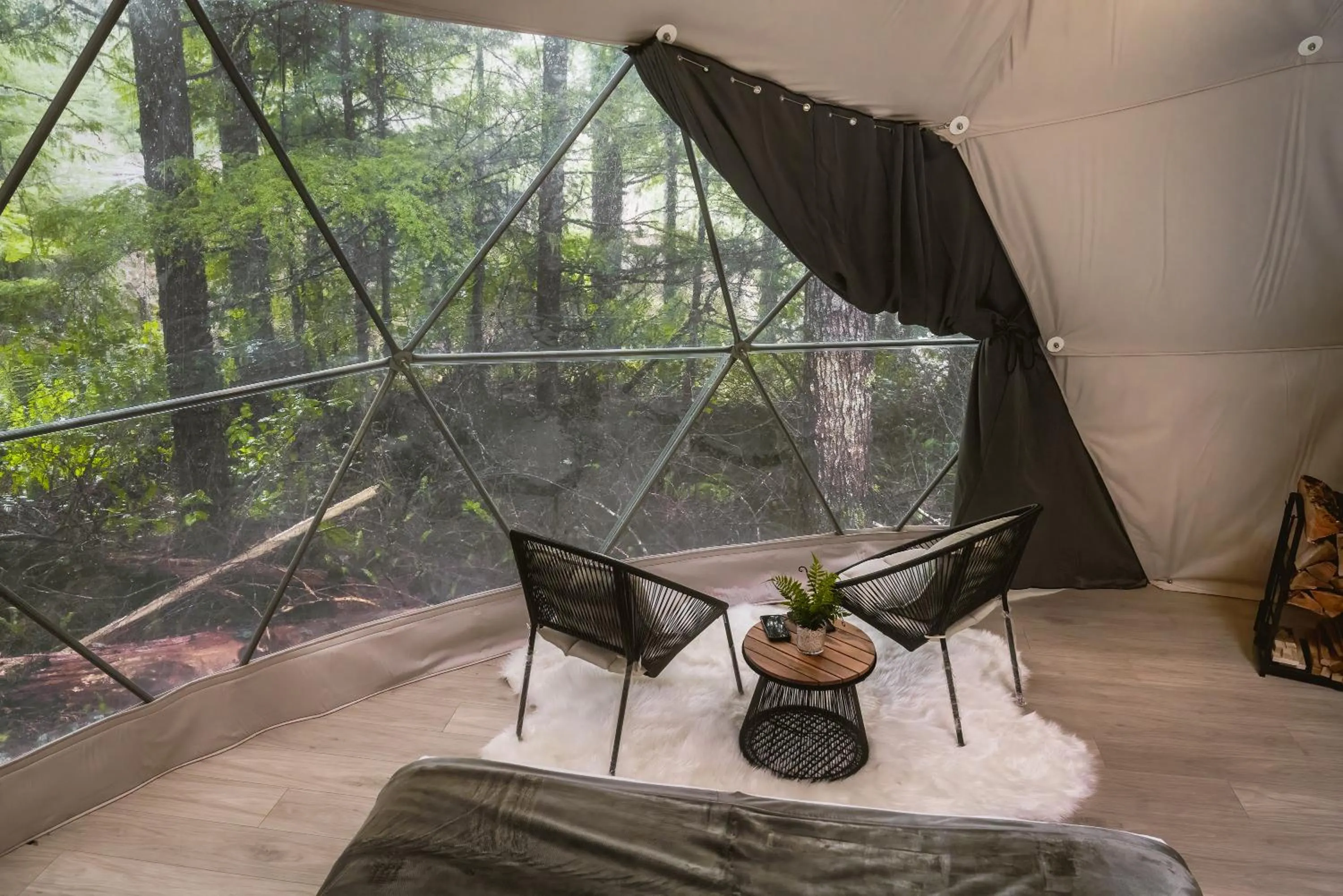 View (from property/room) in West Coast Trail Lodge