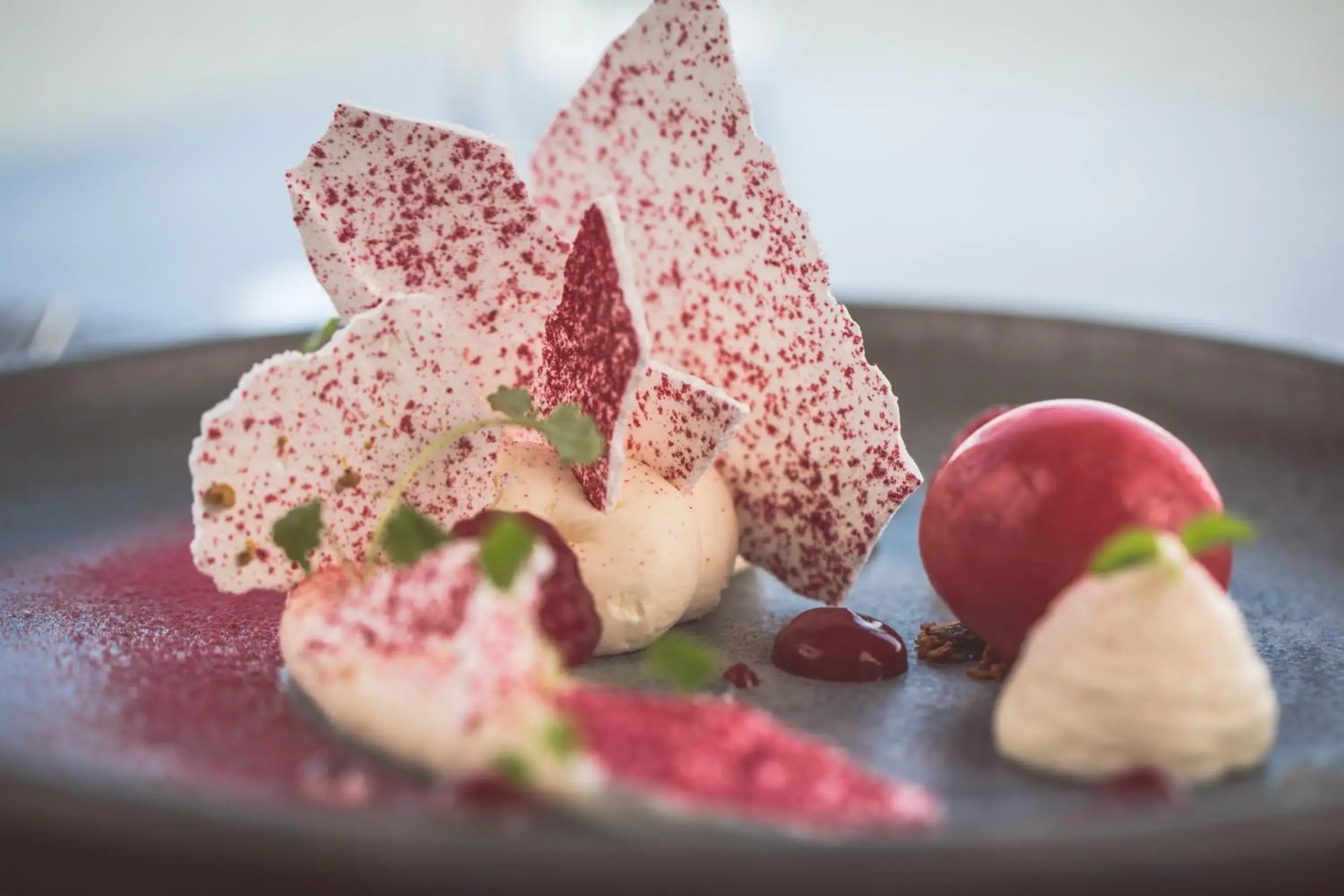 Restaurant/places to eat in Redcastle Hotel Restaurant/places to eat in Redcastle Hotel