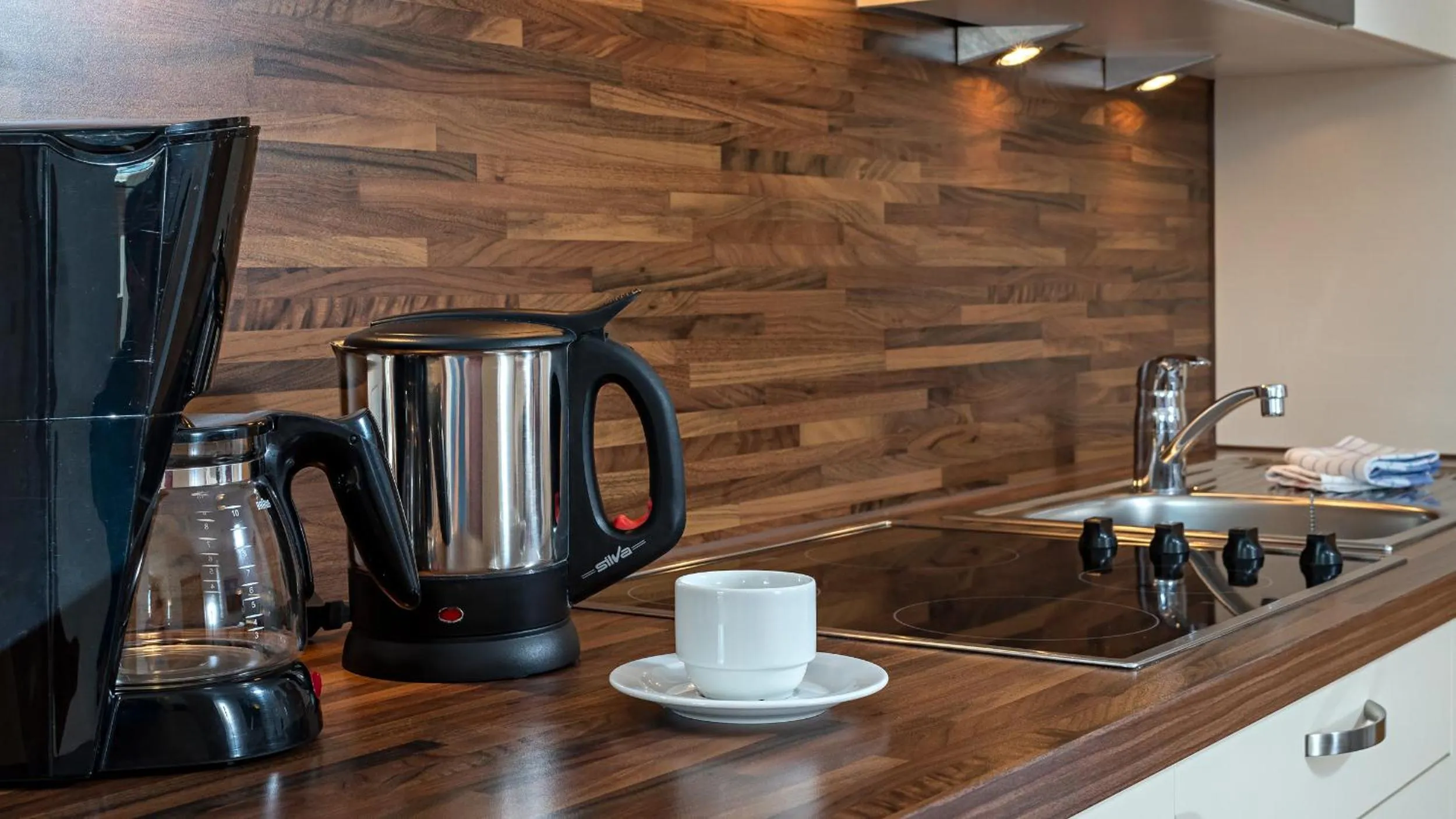 Kitchen or kitchenette in Apart-Hotel Aurora Fiss