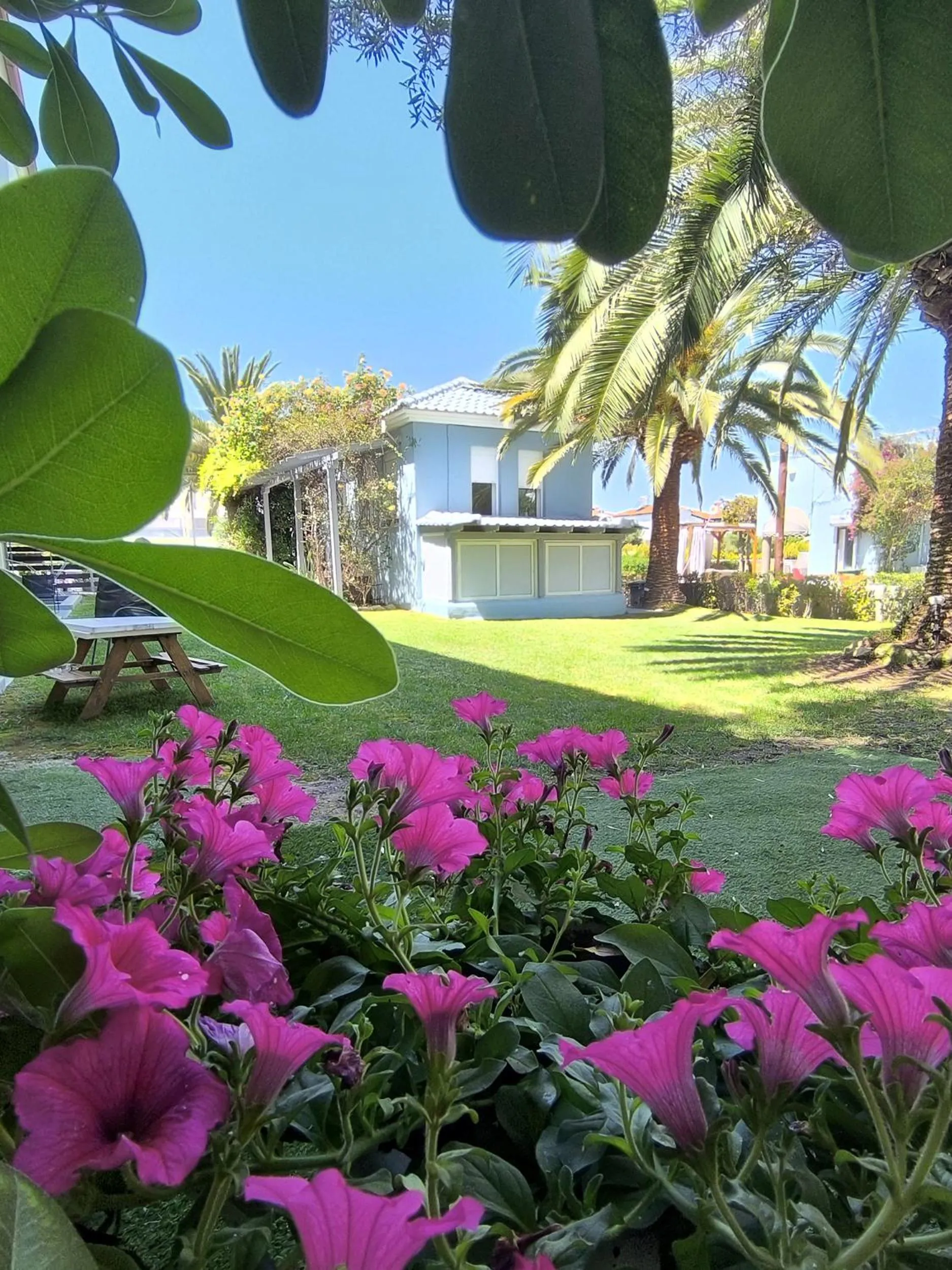 Spring in Kapsohora Inn