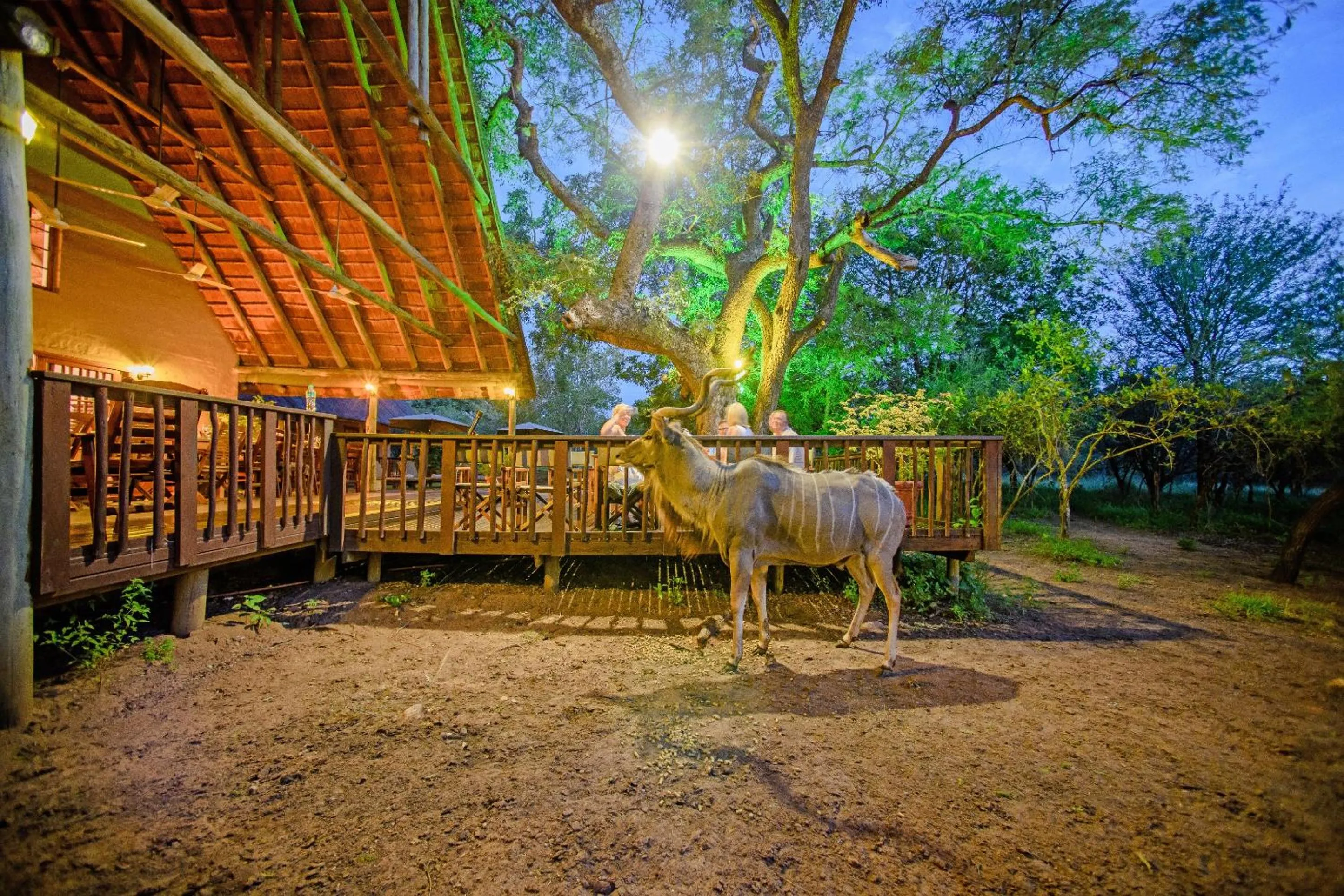 Property building in Needles Lodge