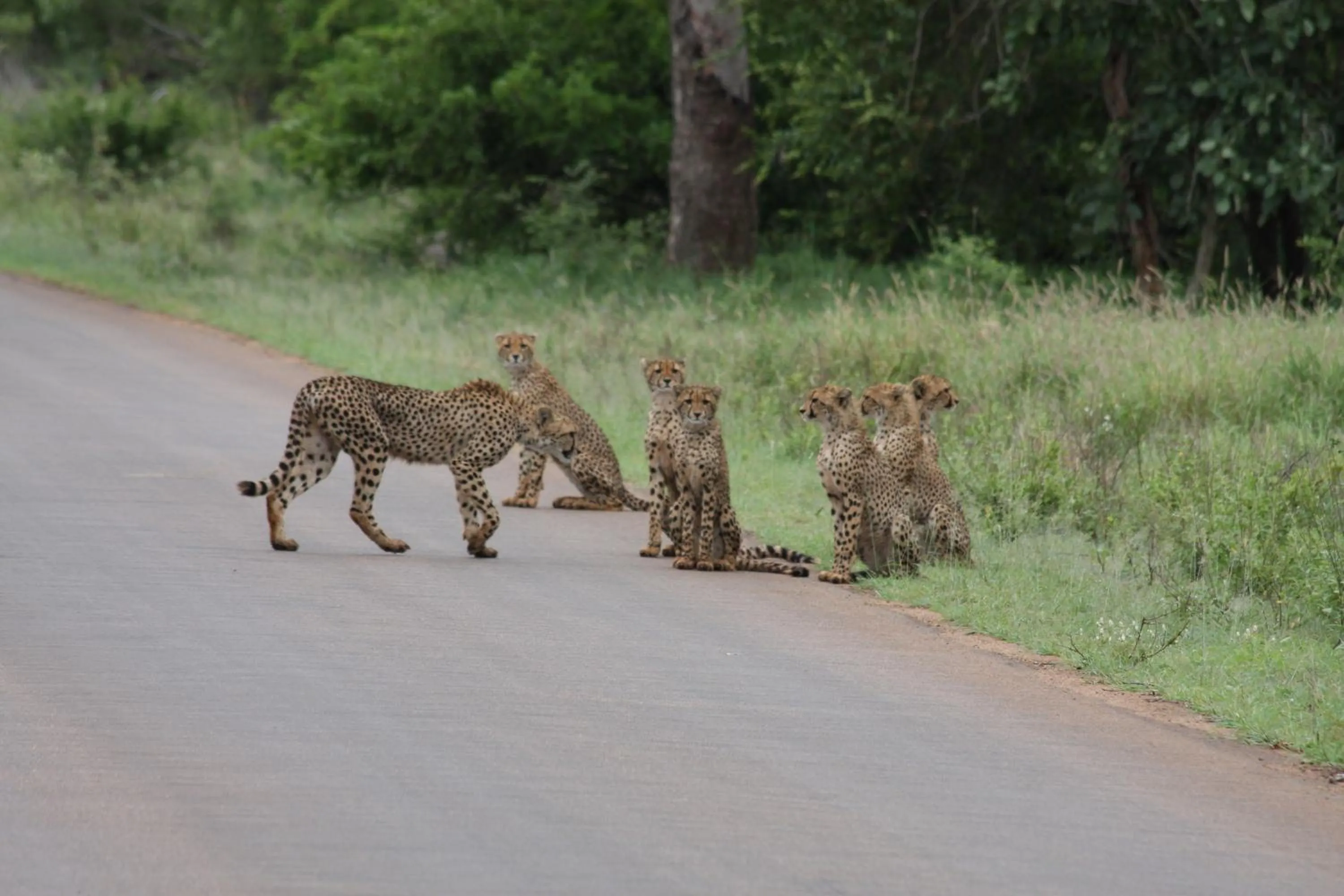 Area and facilities in Needles Lodge