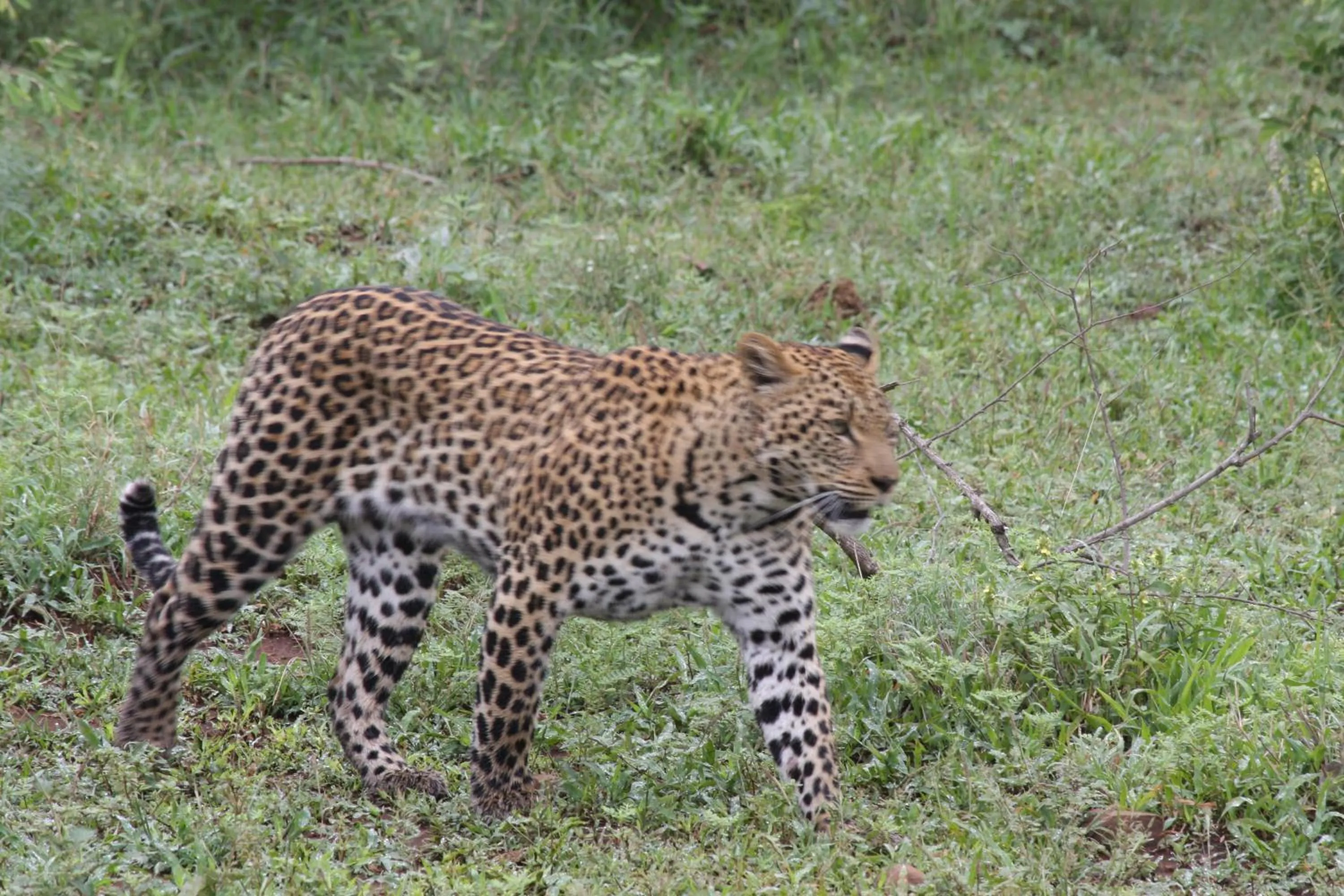 Area and facilities in Needles Lodge