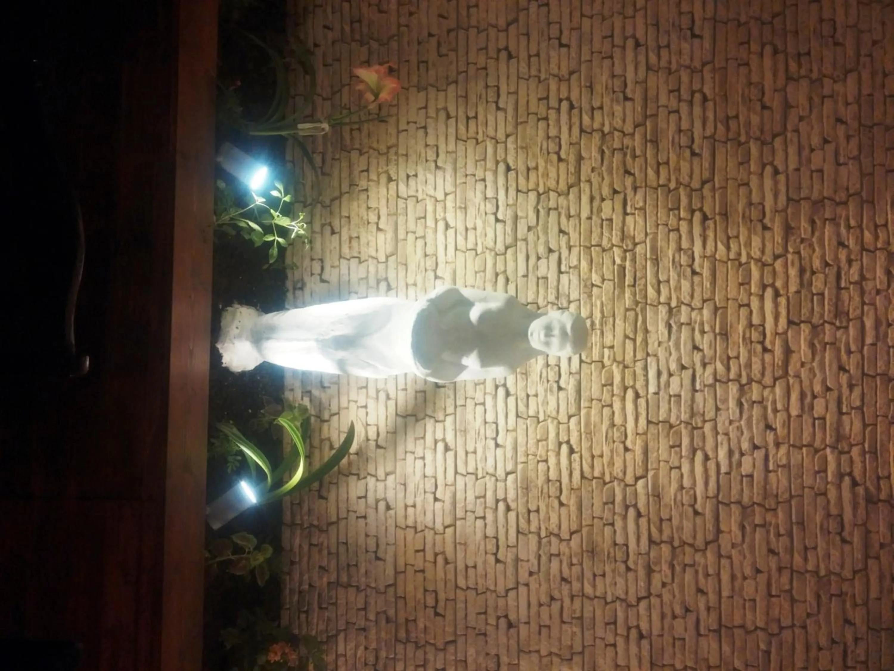 Restaurant/places to eat in Family Hotel Alfa Vita