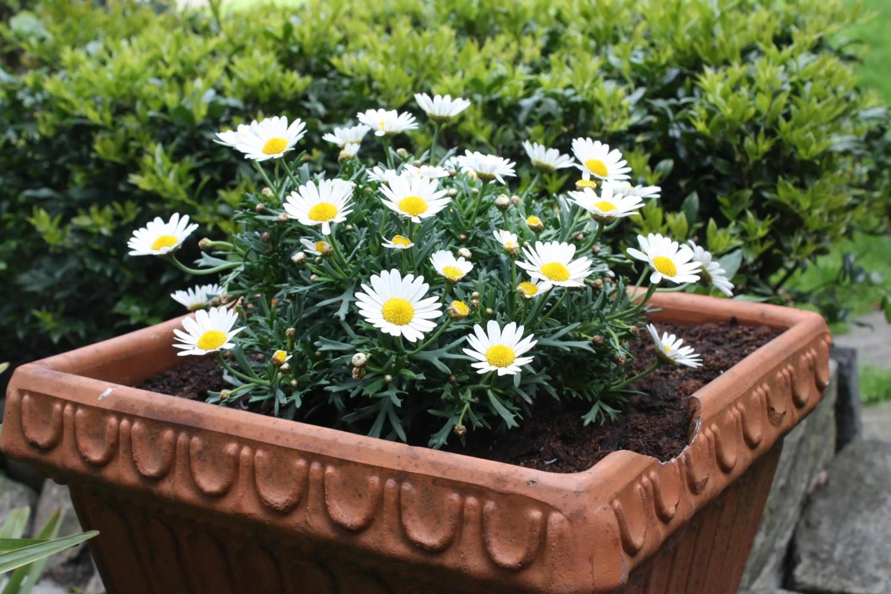 Other in Garni degli Angioli