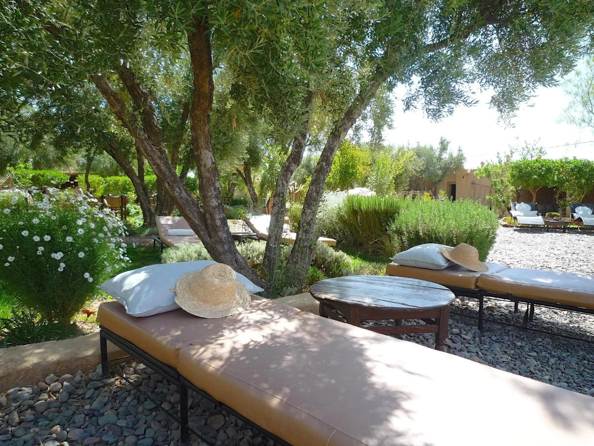Garden in Les Jardins de Skoura
