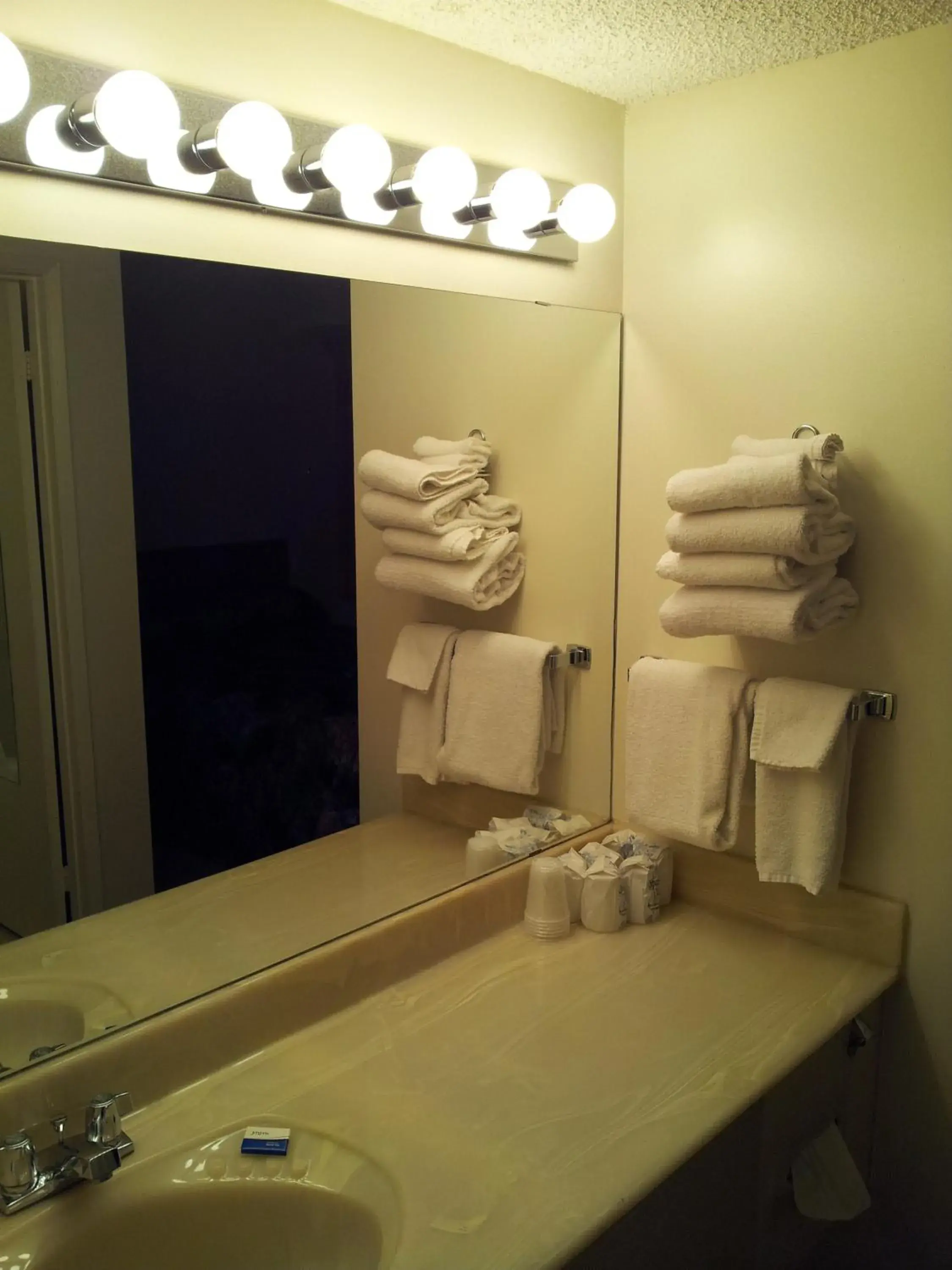 Bathroom in Ramada by Wyndham Medicine Hat Bathroom in Ramada by Wyndham Medicine Hat