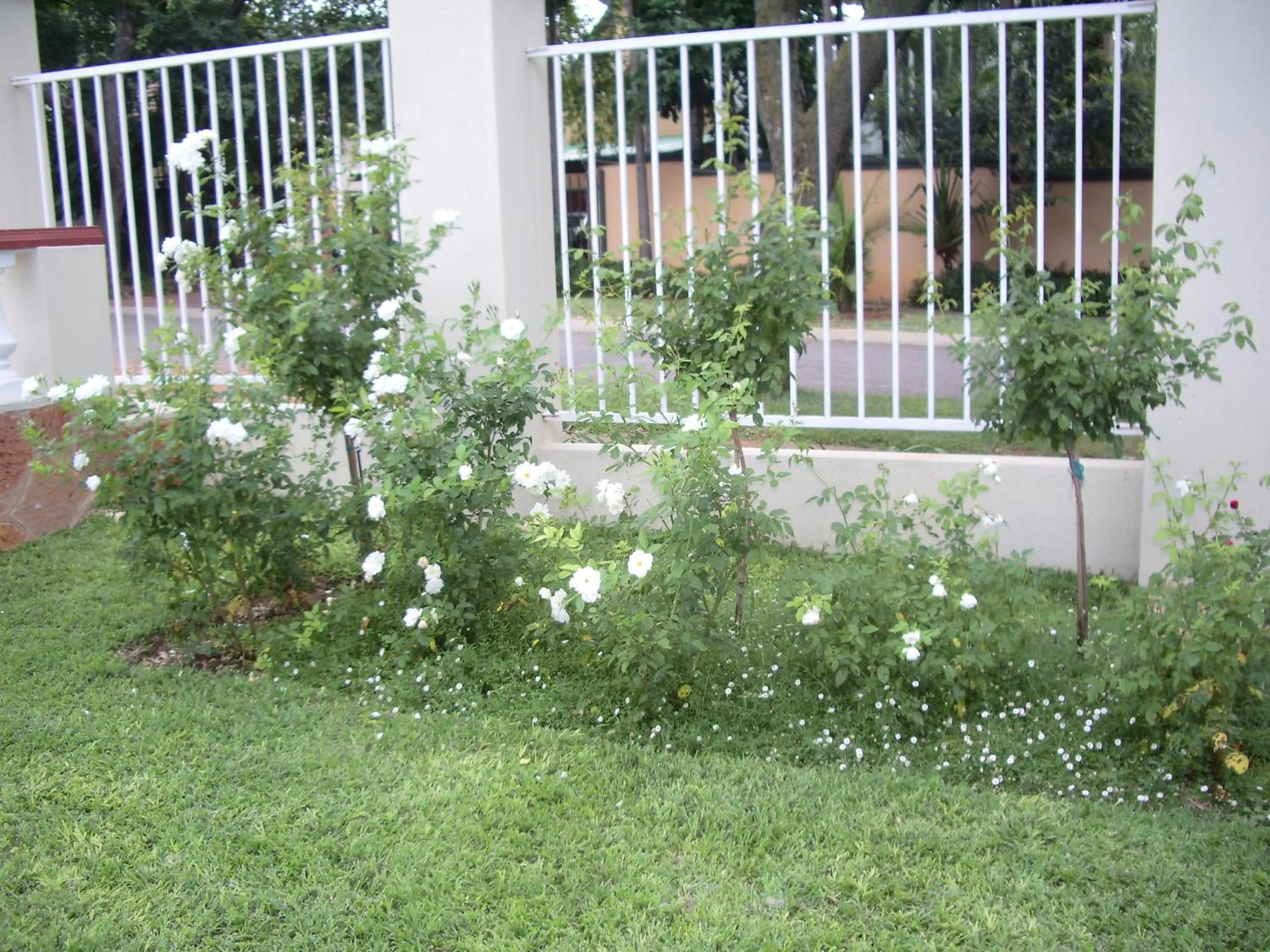 Garden view in Dee's BnB