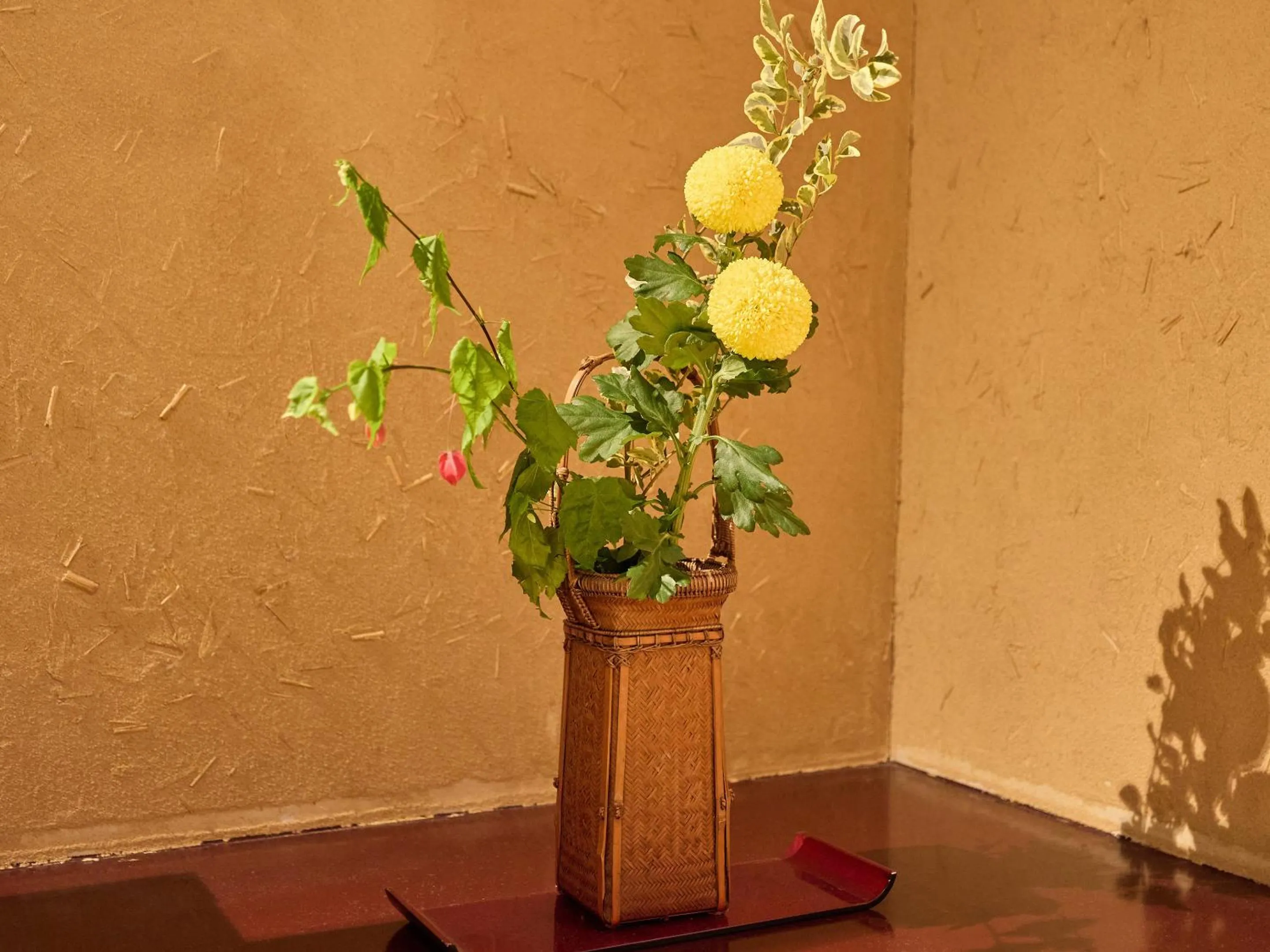 Area and facilities in Seikansou