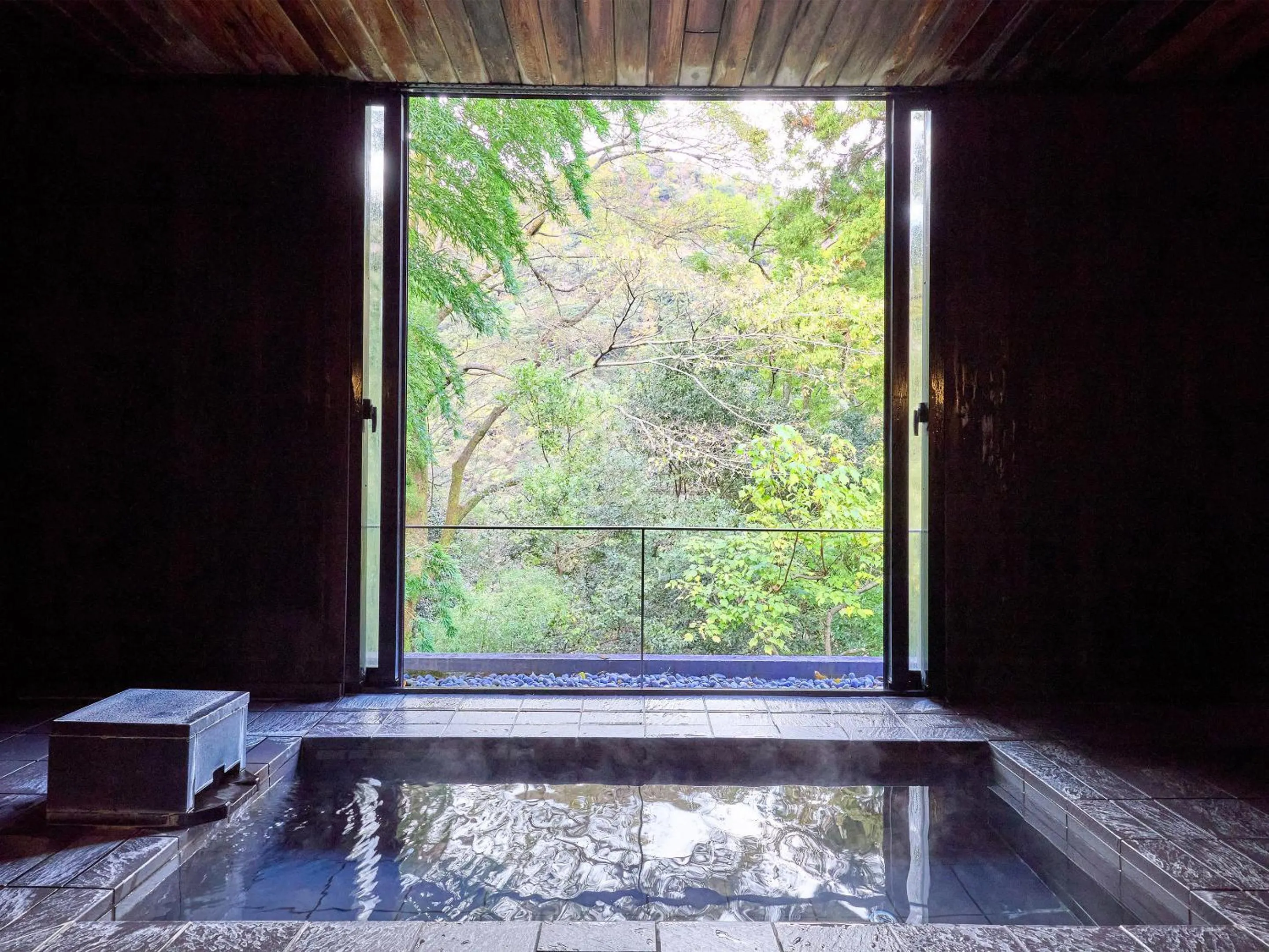 Hot Spring Bath in Seikansou