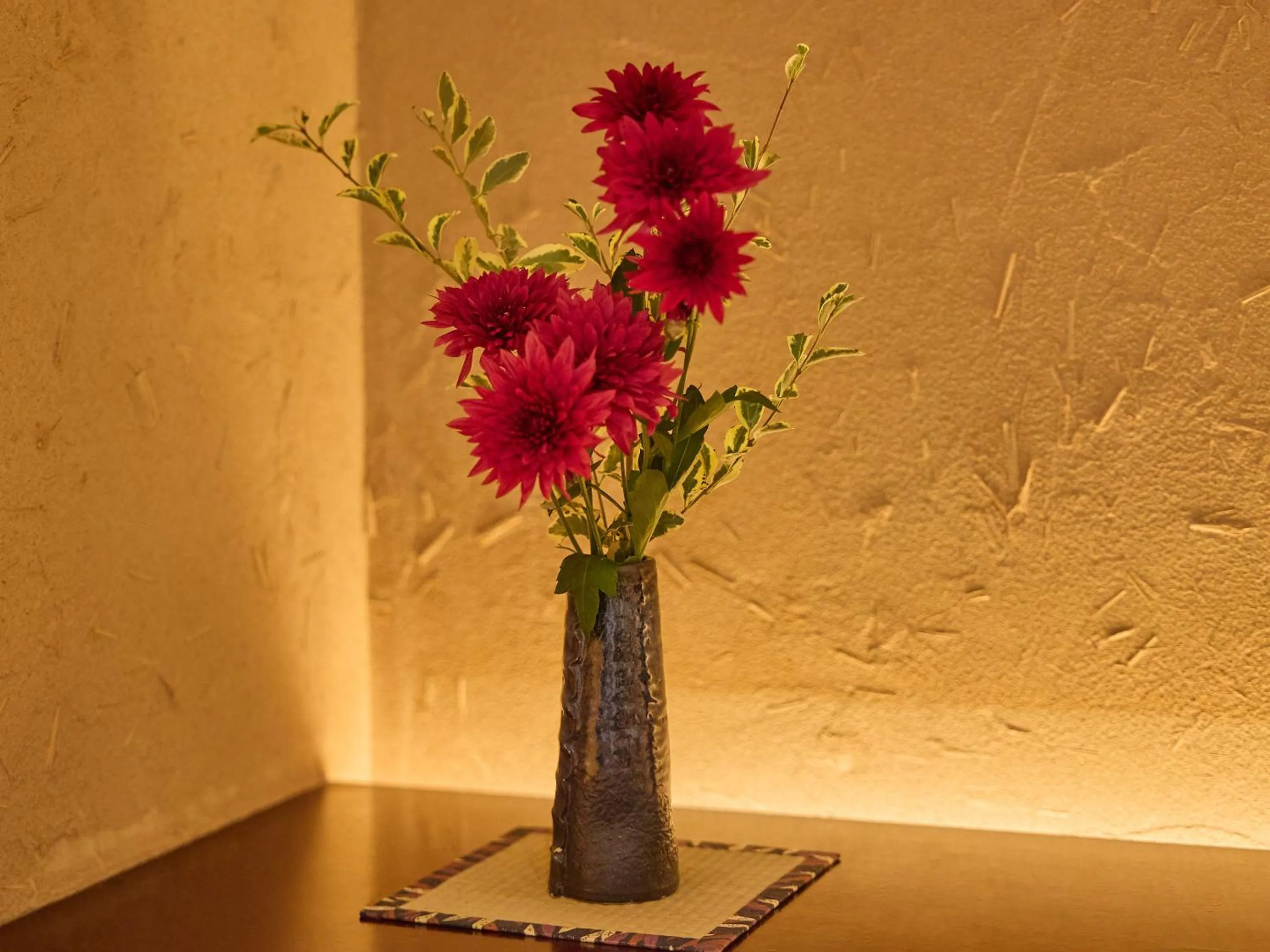 Area and facilities in Seikansou