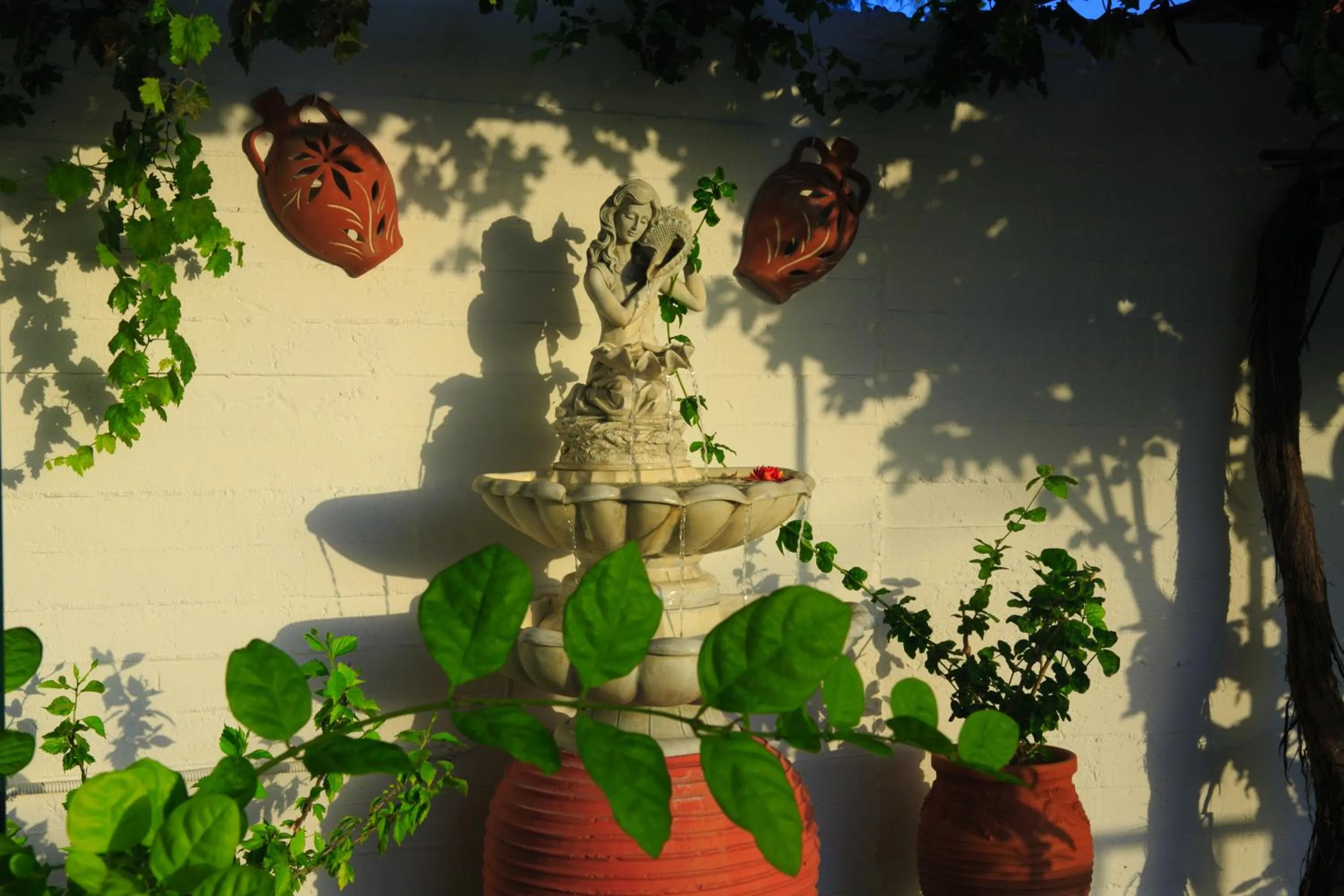 Garden in Stroubis Studios I