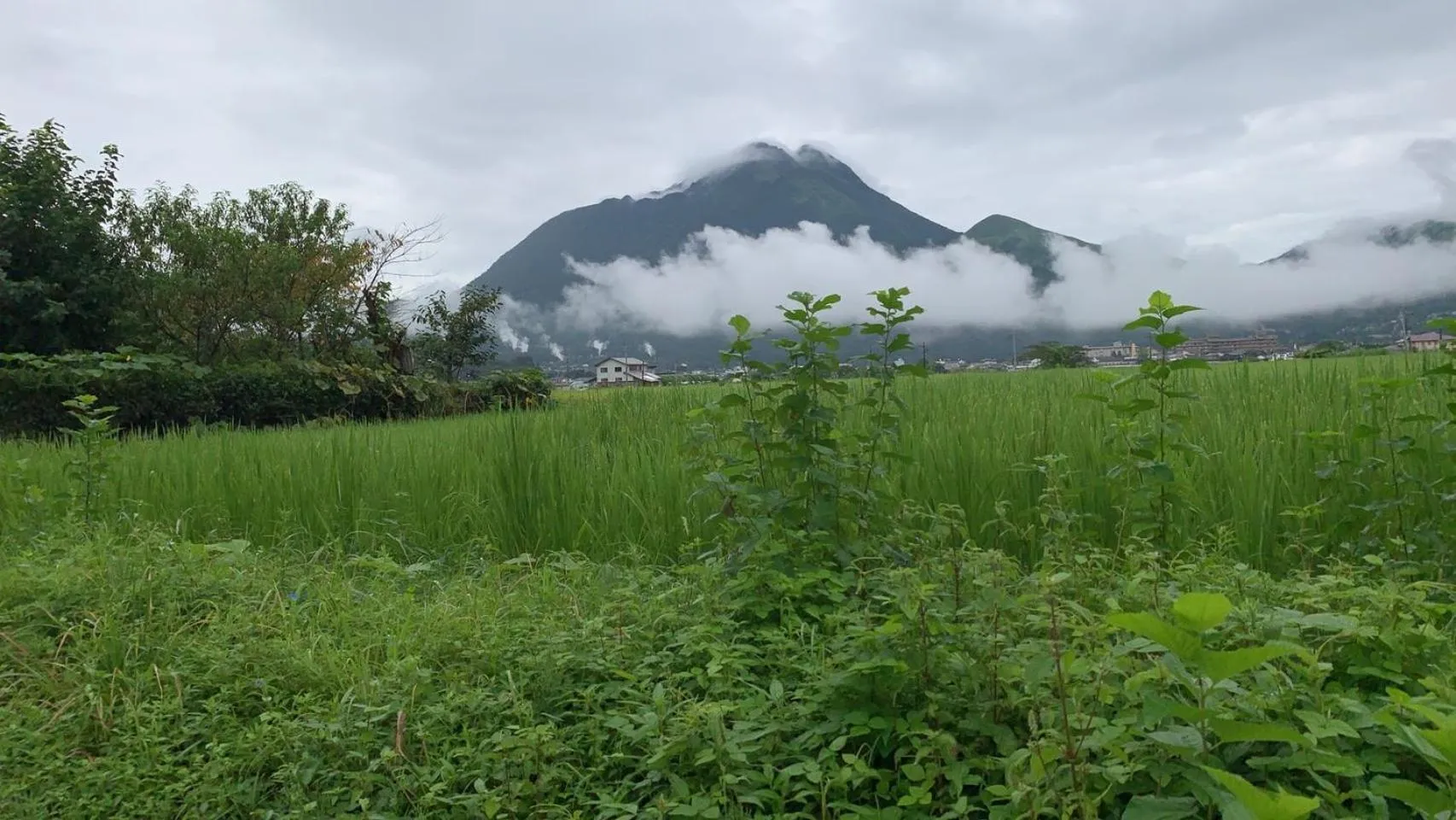 Natural landscape in WEST in