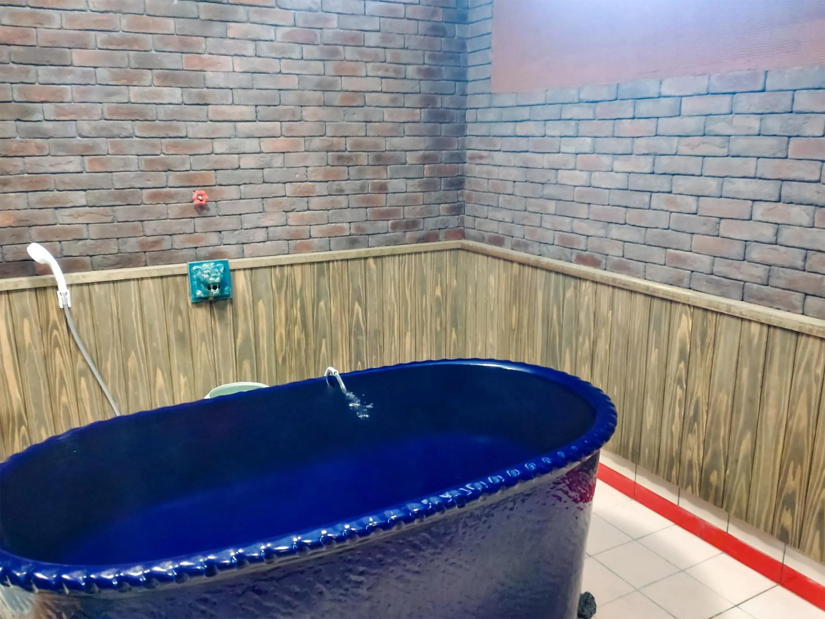 Hot Spring Bath in WEST in