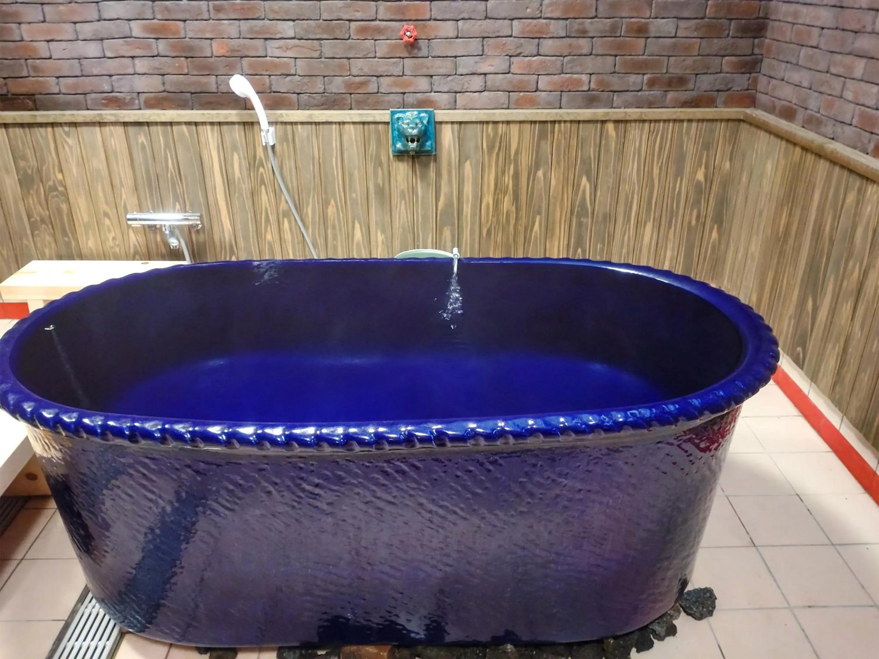 Hot Spring Bath in WEST in