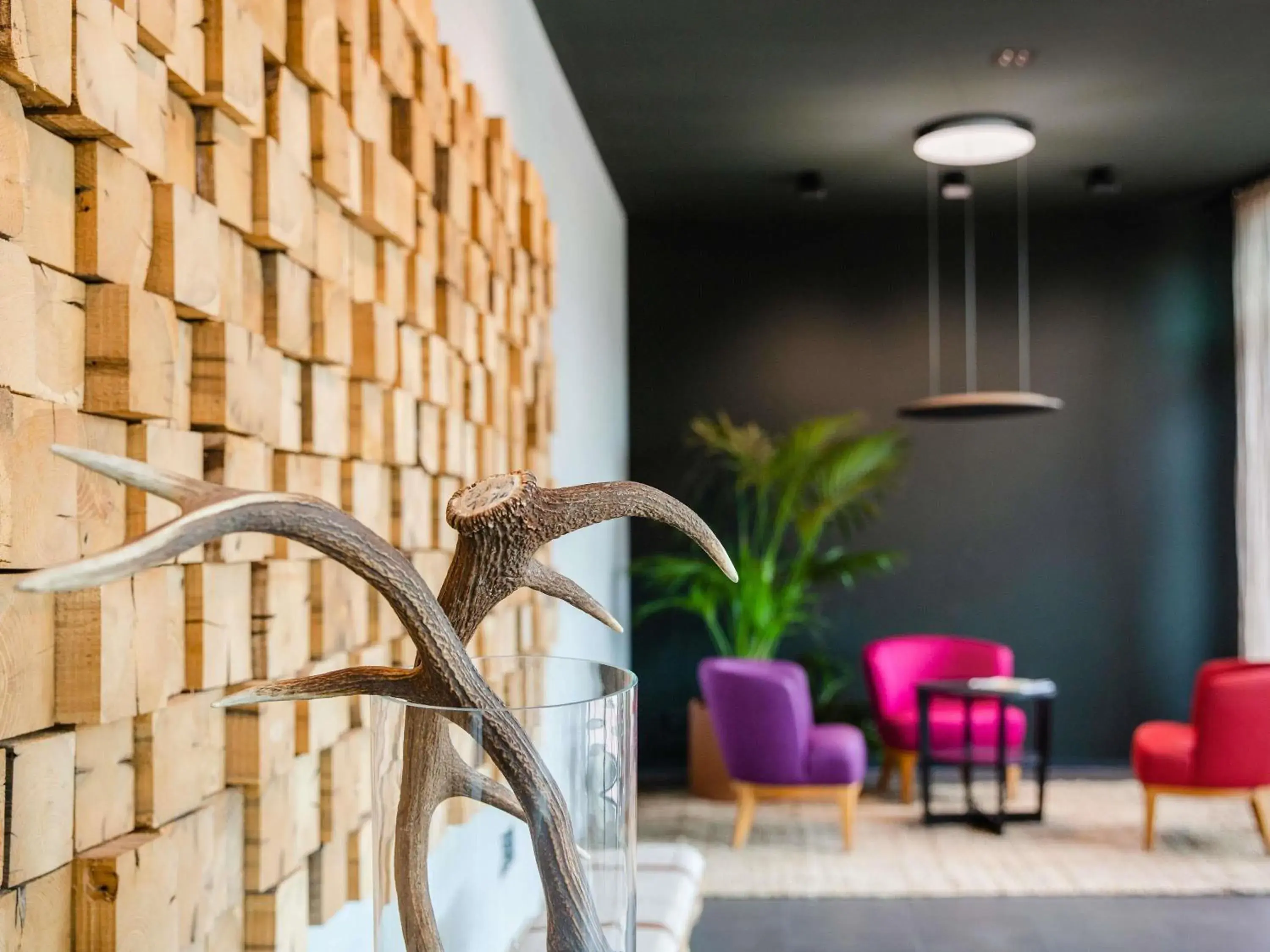 Property building in ibis Styles Nagold-Schwarzwald Property building in ibis Styles Nagold-Schwarzwald