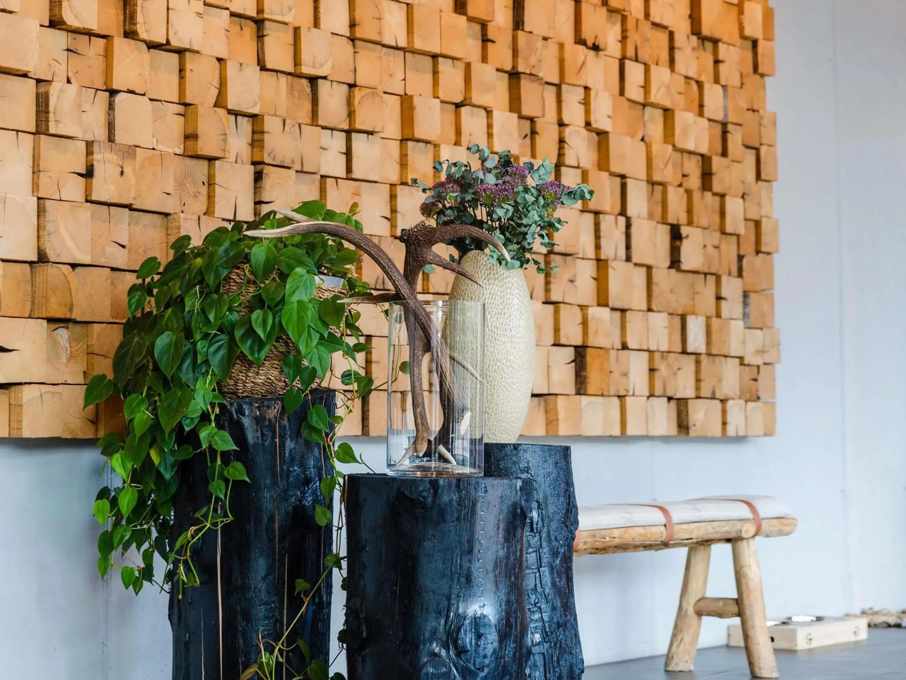 Property building in ibis Styles Nagold-Schwarzwald Property building in ibis Styles Nagold-Schwarzwald