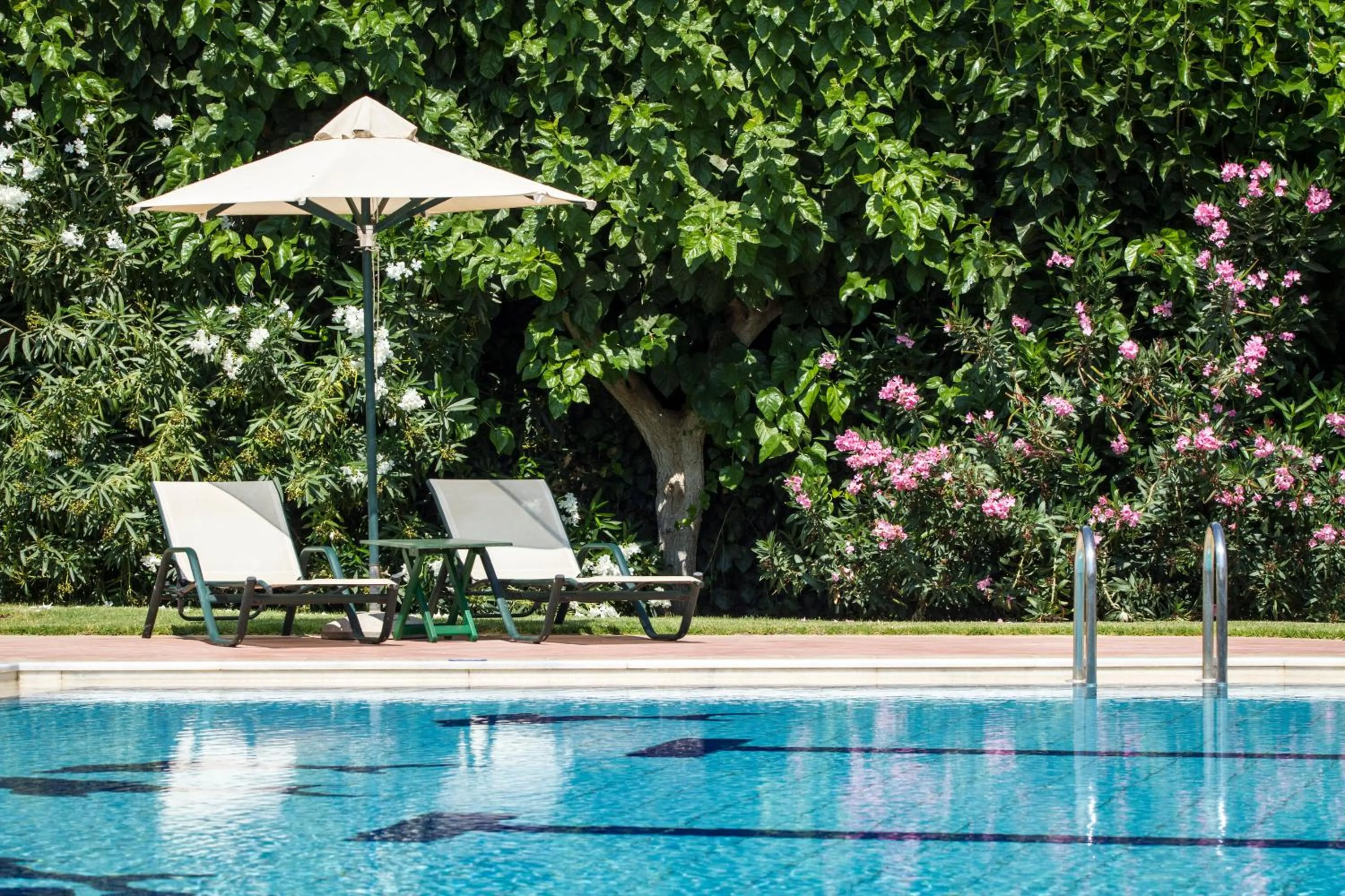 Swimming pool in Hotel Peli