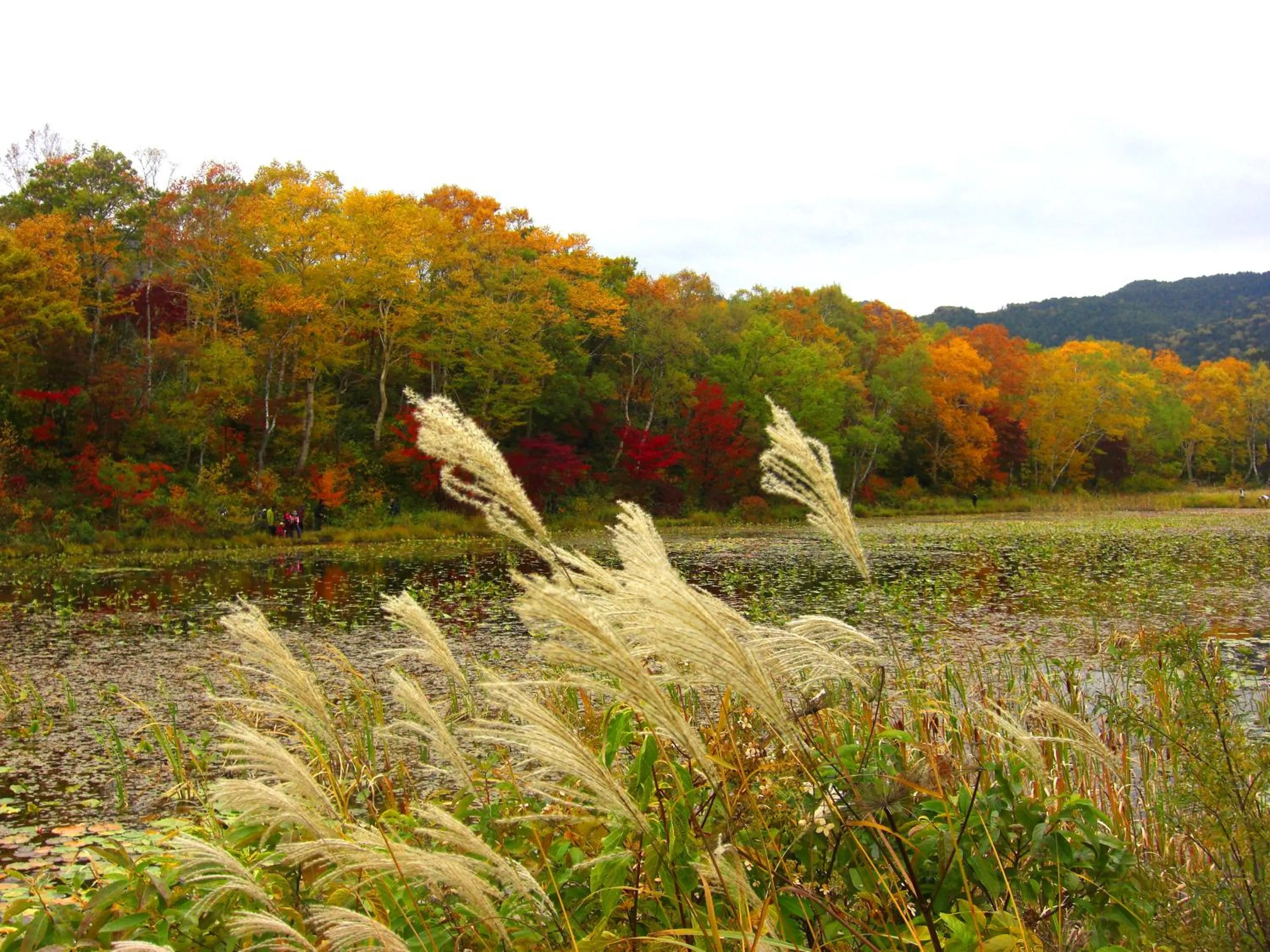 Off site in Club Wyndham Shirakabaso Shigakogen