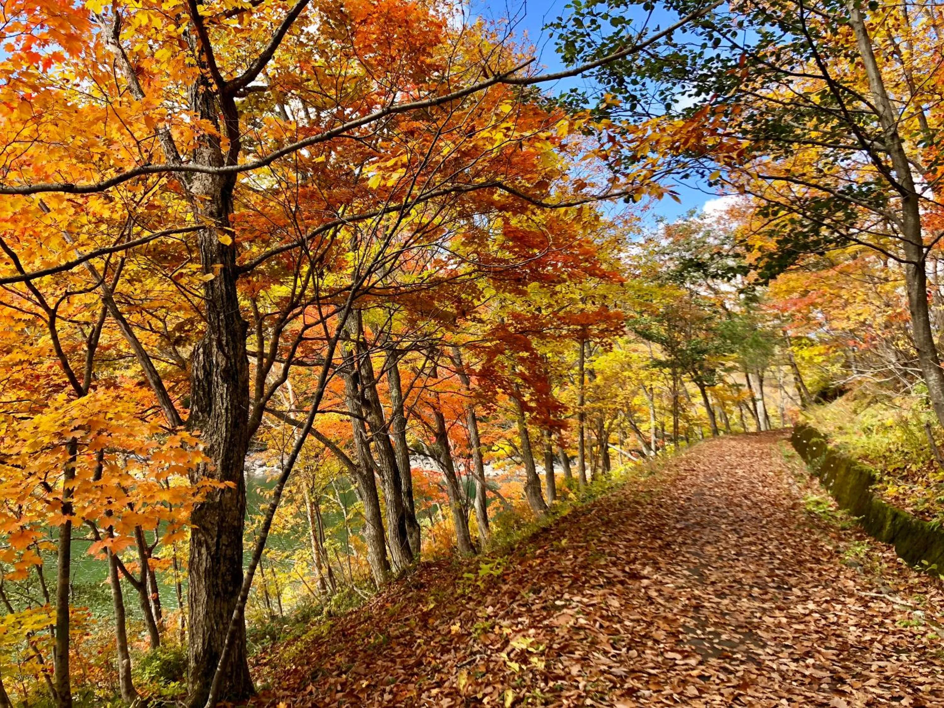 Off site in Club Wyndham Shirakabaso Shigakogen