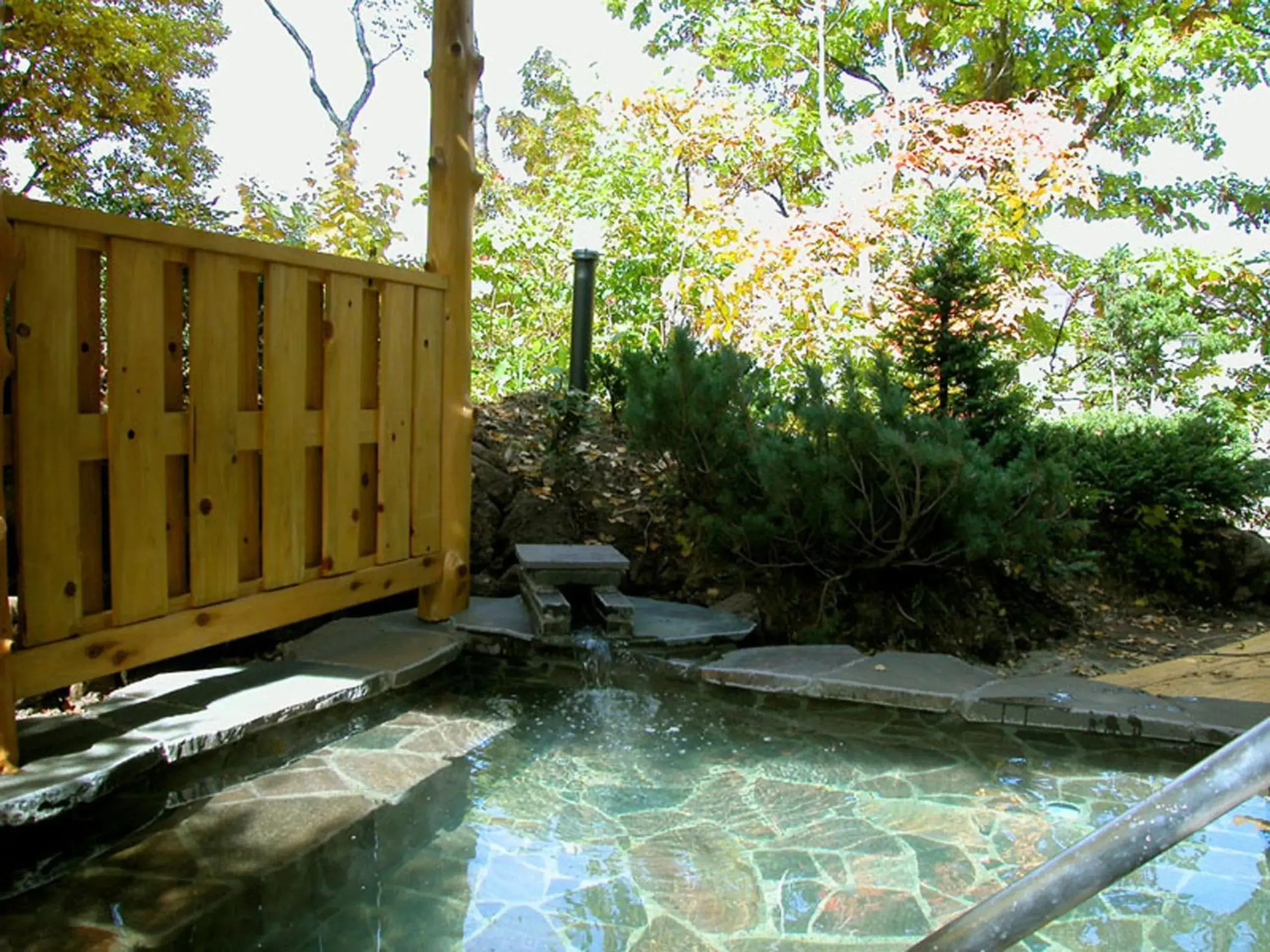 Hot Spring Bath, Swimming Pool in Hotel Shirakabaso Shigakogen