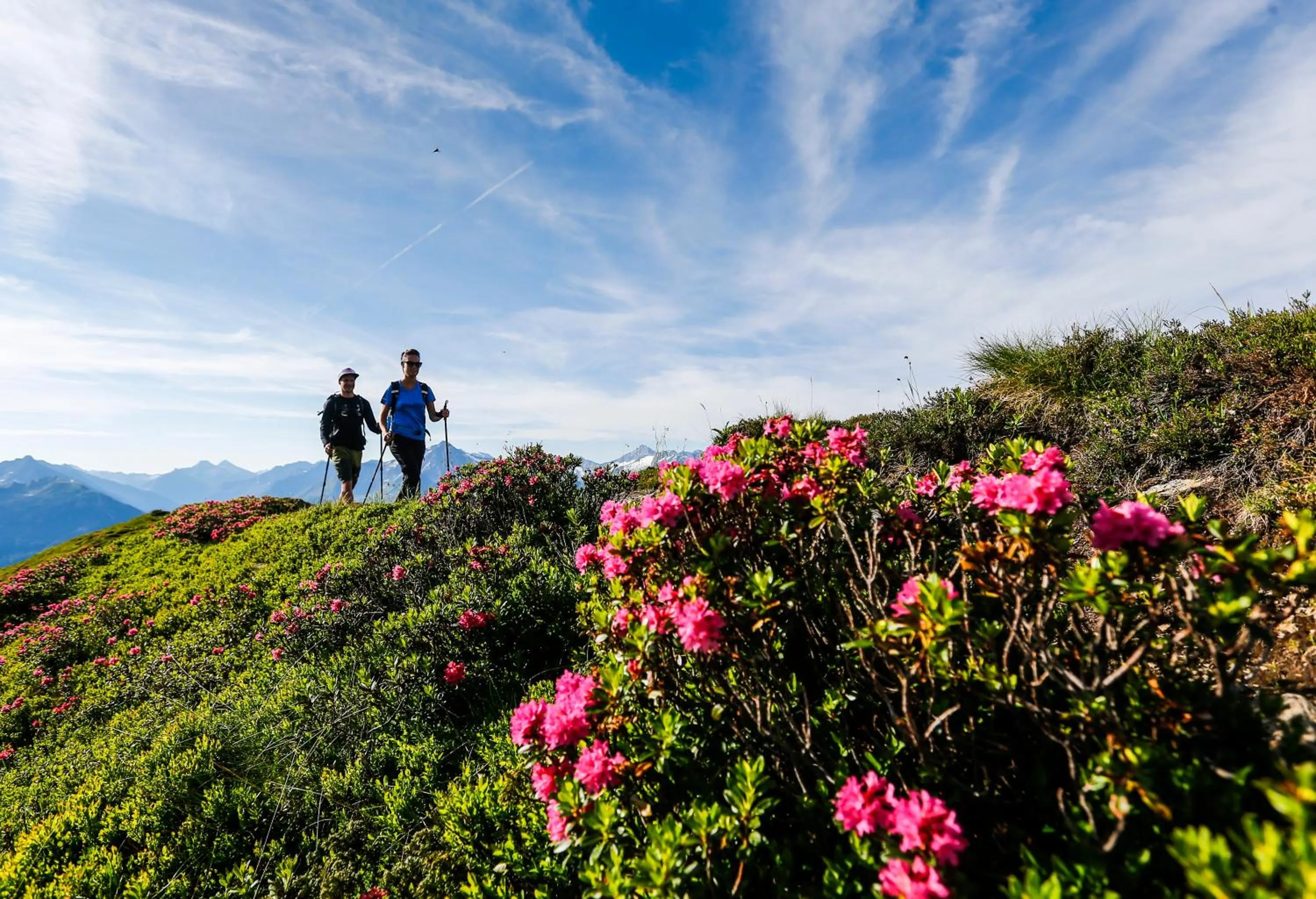 Hiking in Hotel Gasthof Stoanerhof