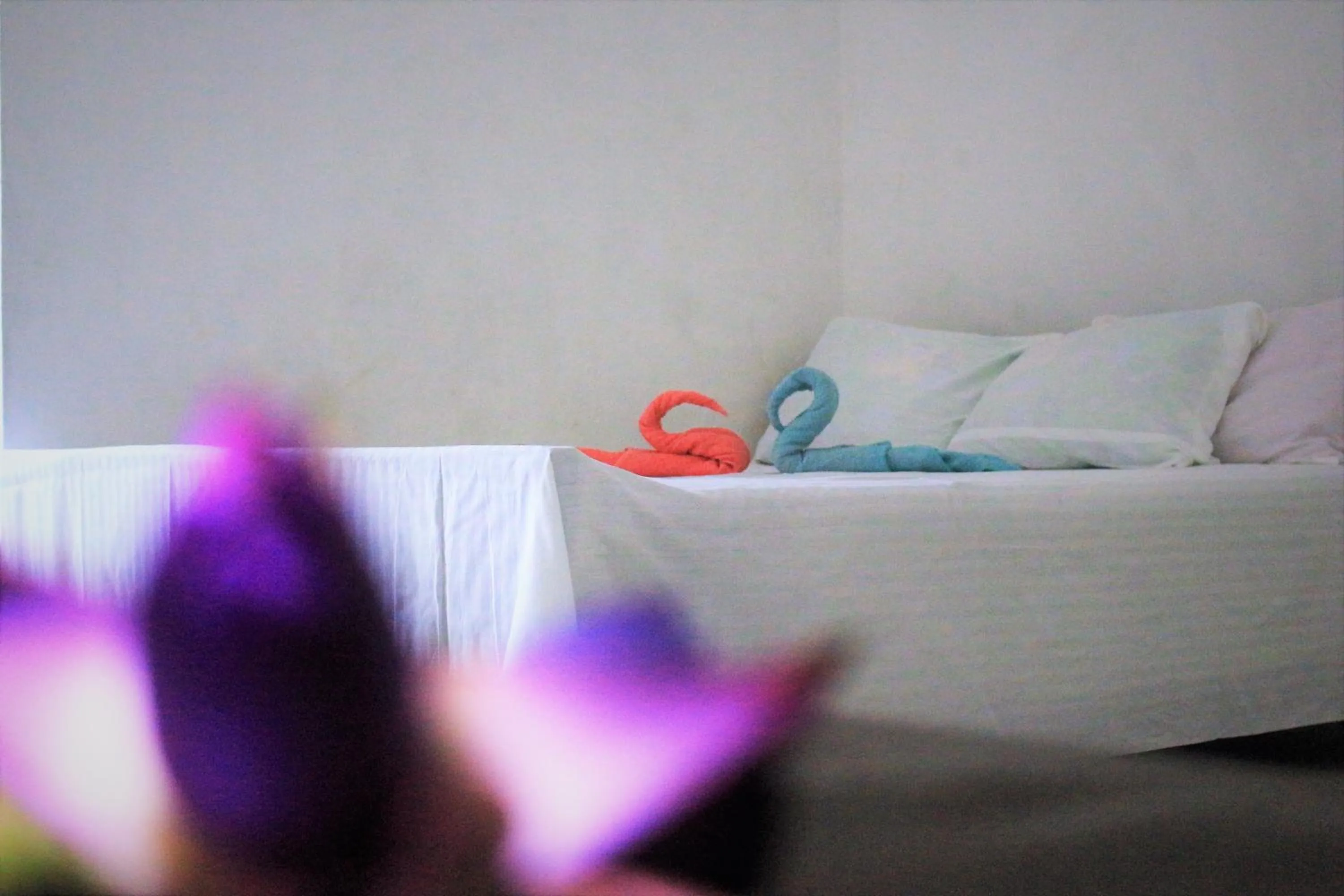 Bed in Samanala Resort