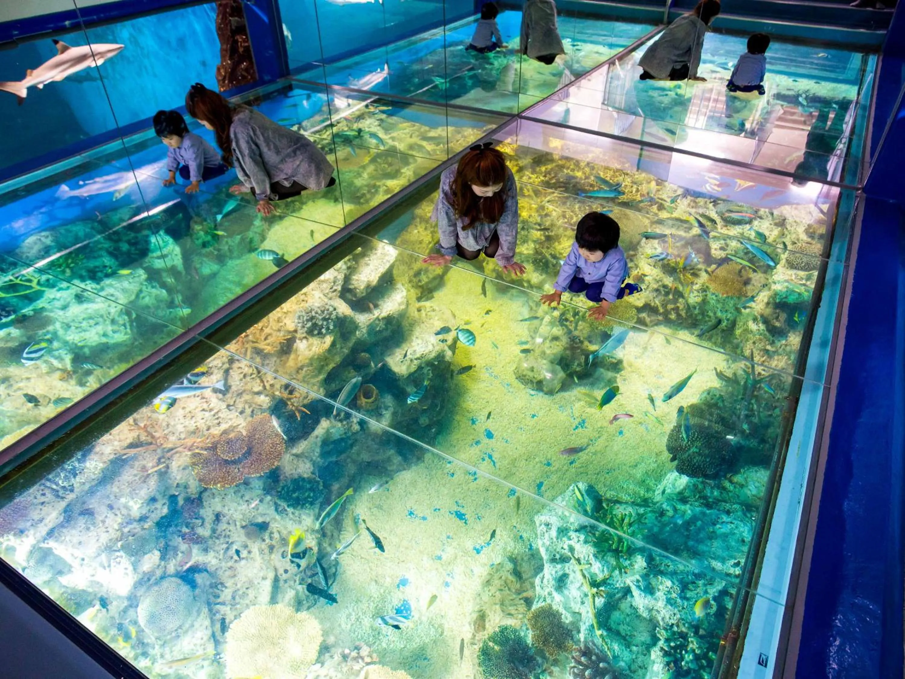 Nearby landmark in Awara Onsen Minoya Taiheikaku