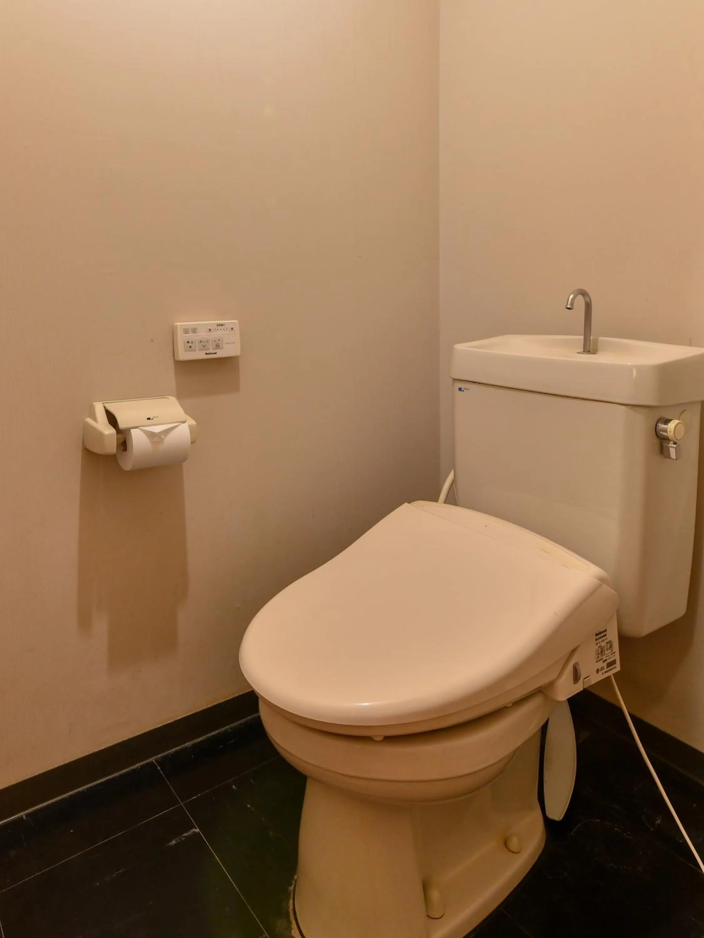 Toilet in Awara Onsen Minoya Taiheikaku