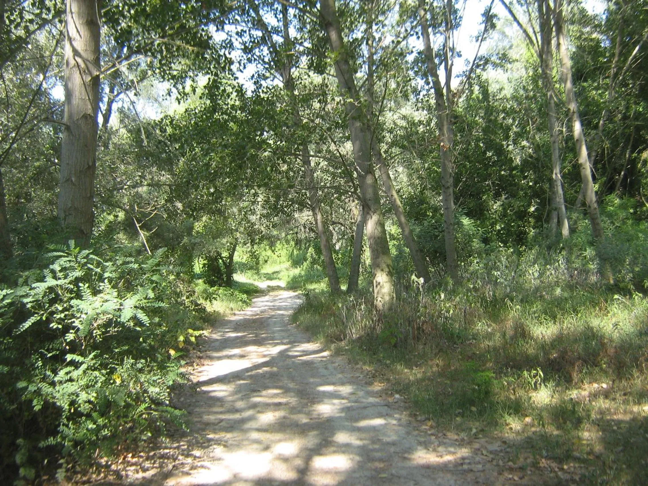 Day in Hostiliae Ciminiera Hotel