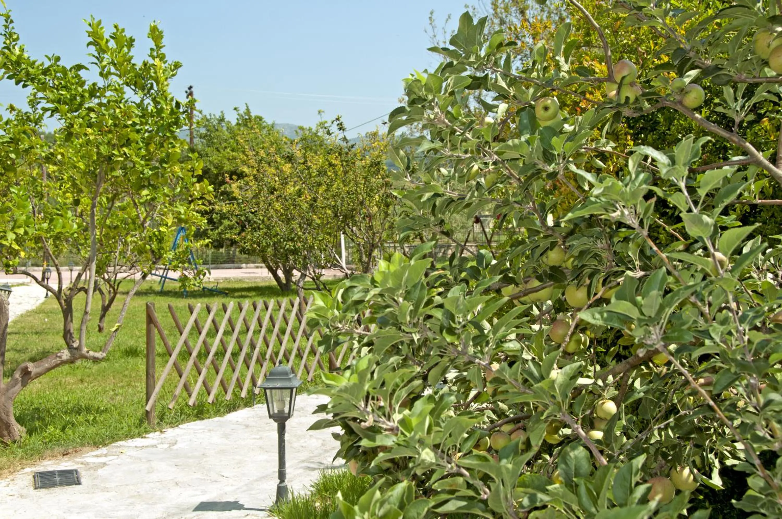 Garden view in Hotel Elina