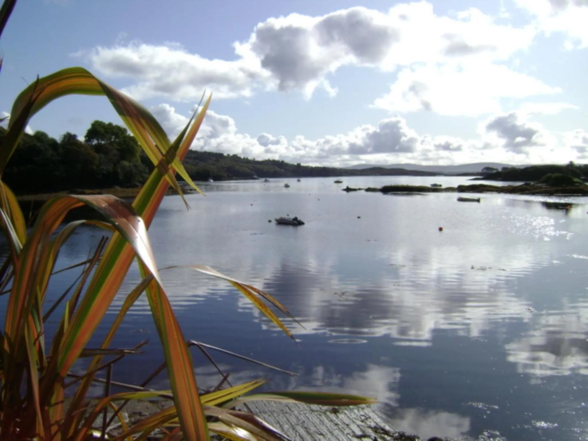 Area and facilities in Glengarriff Park Hotel