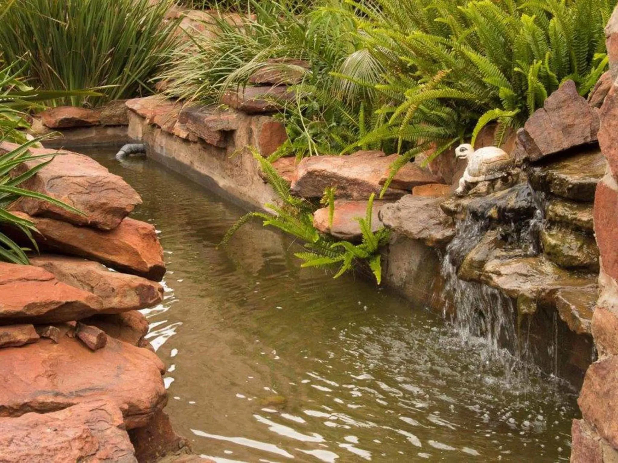 Garden in Homestay Travel Guest House