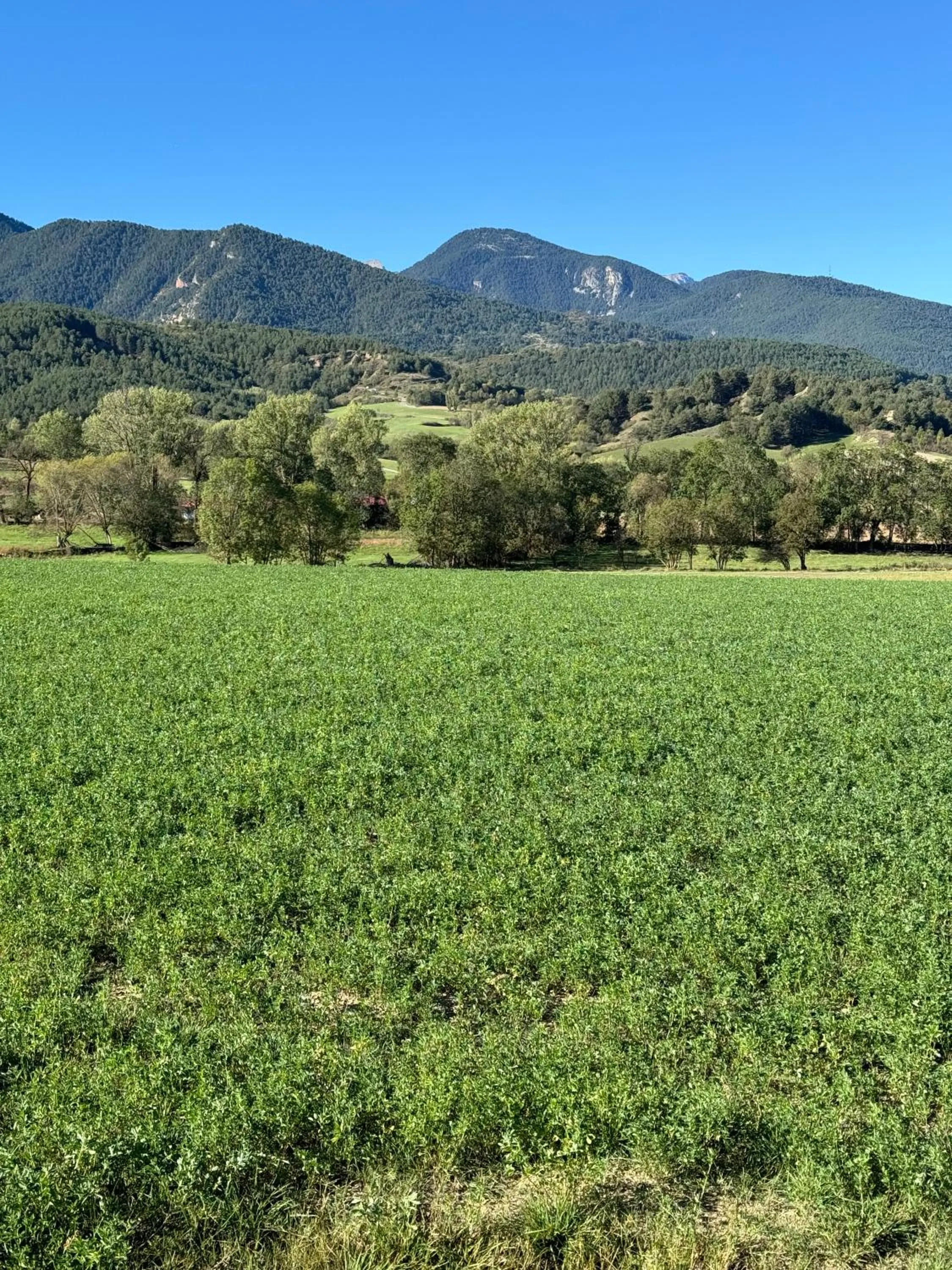 Natural landscape in Hotel Cal Rei de Talló