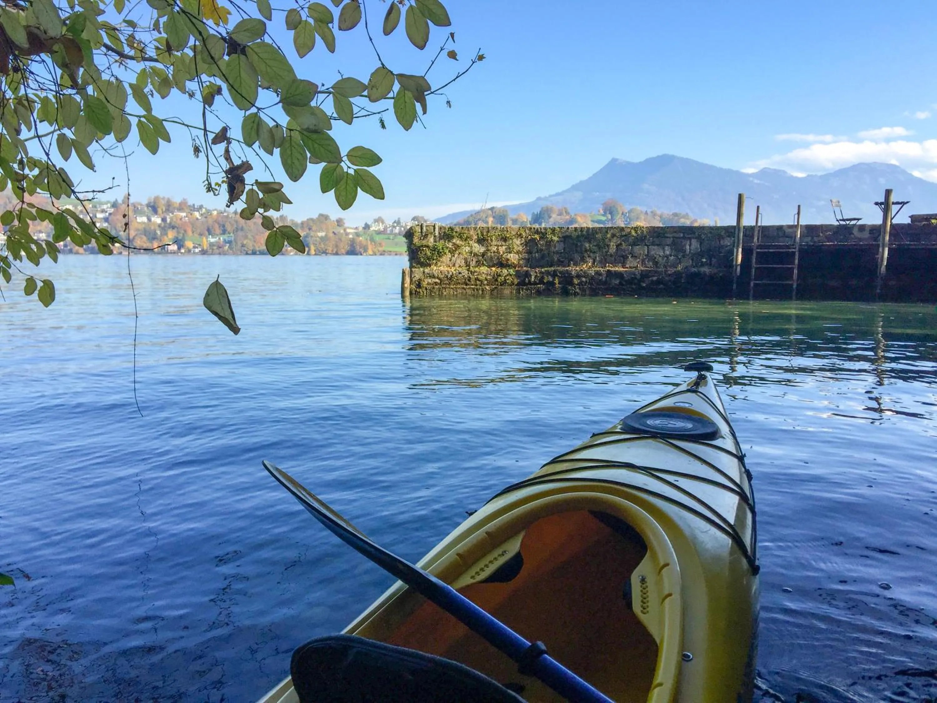 Snorkeling in Lake Villa Lotus