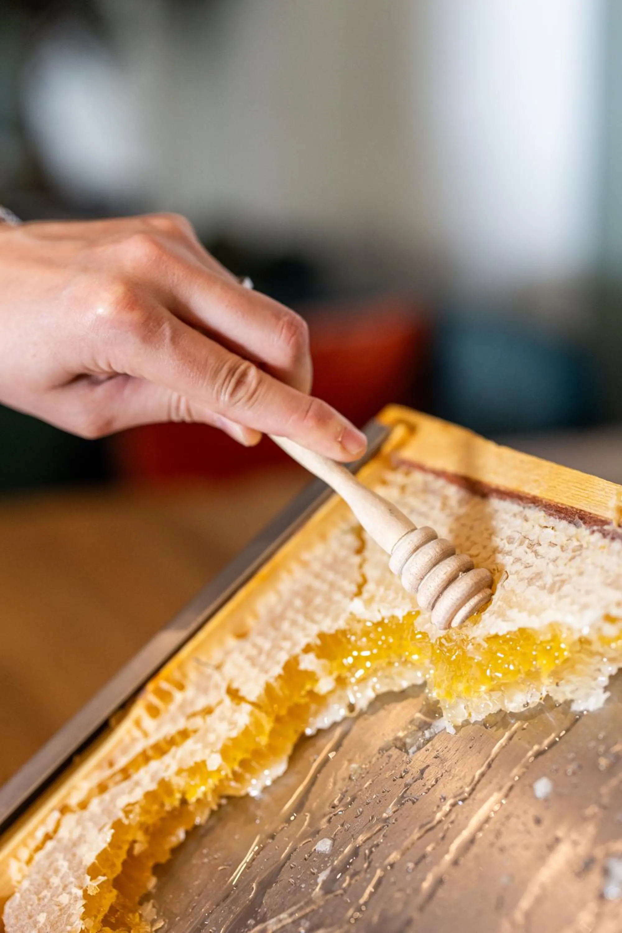 Food in Hôtel Restaurant la Corniche