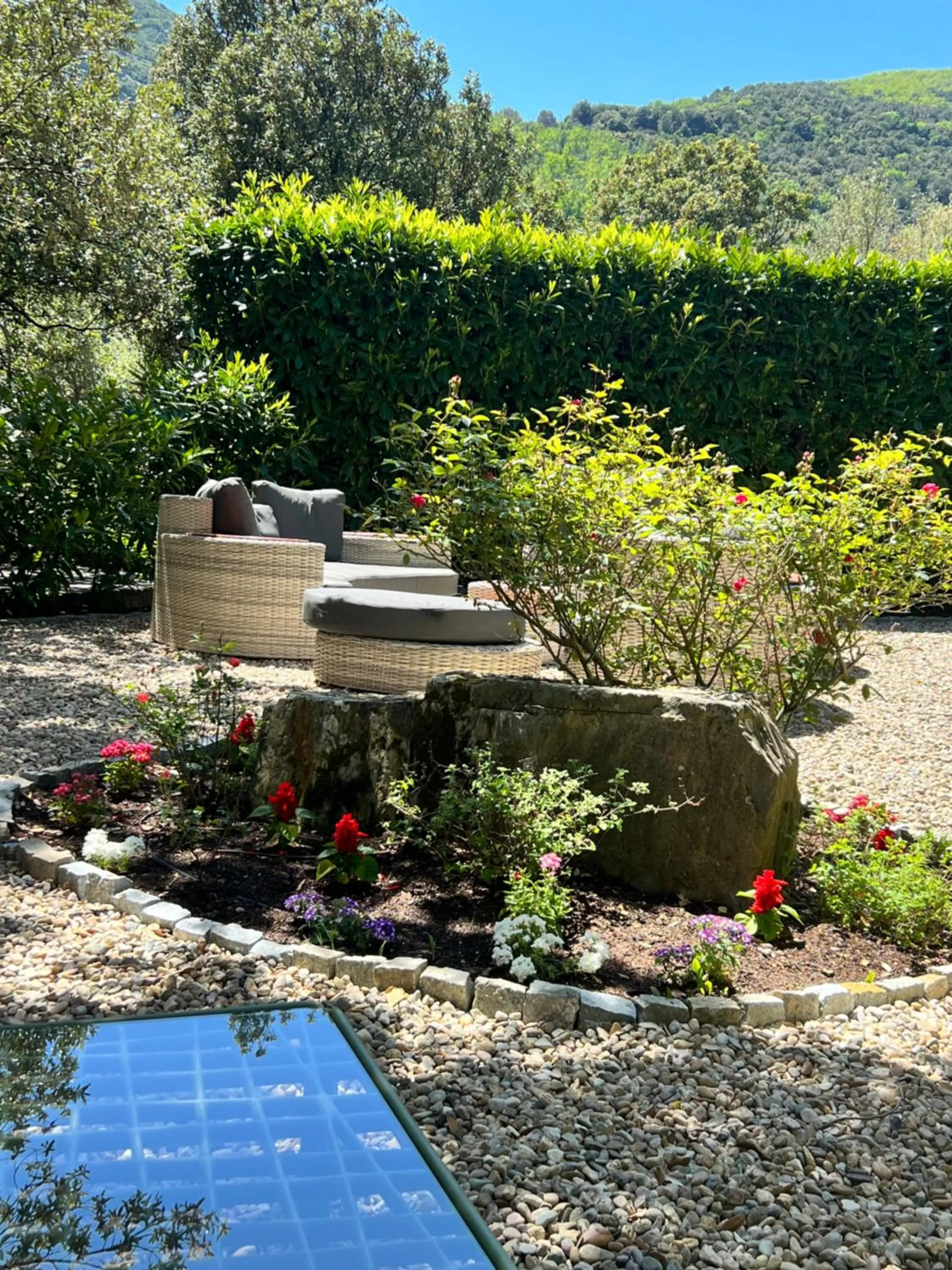 Garden in Hôtel Restaurant la Corniche