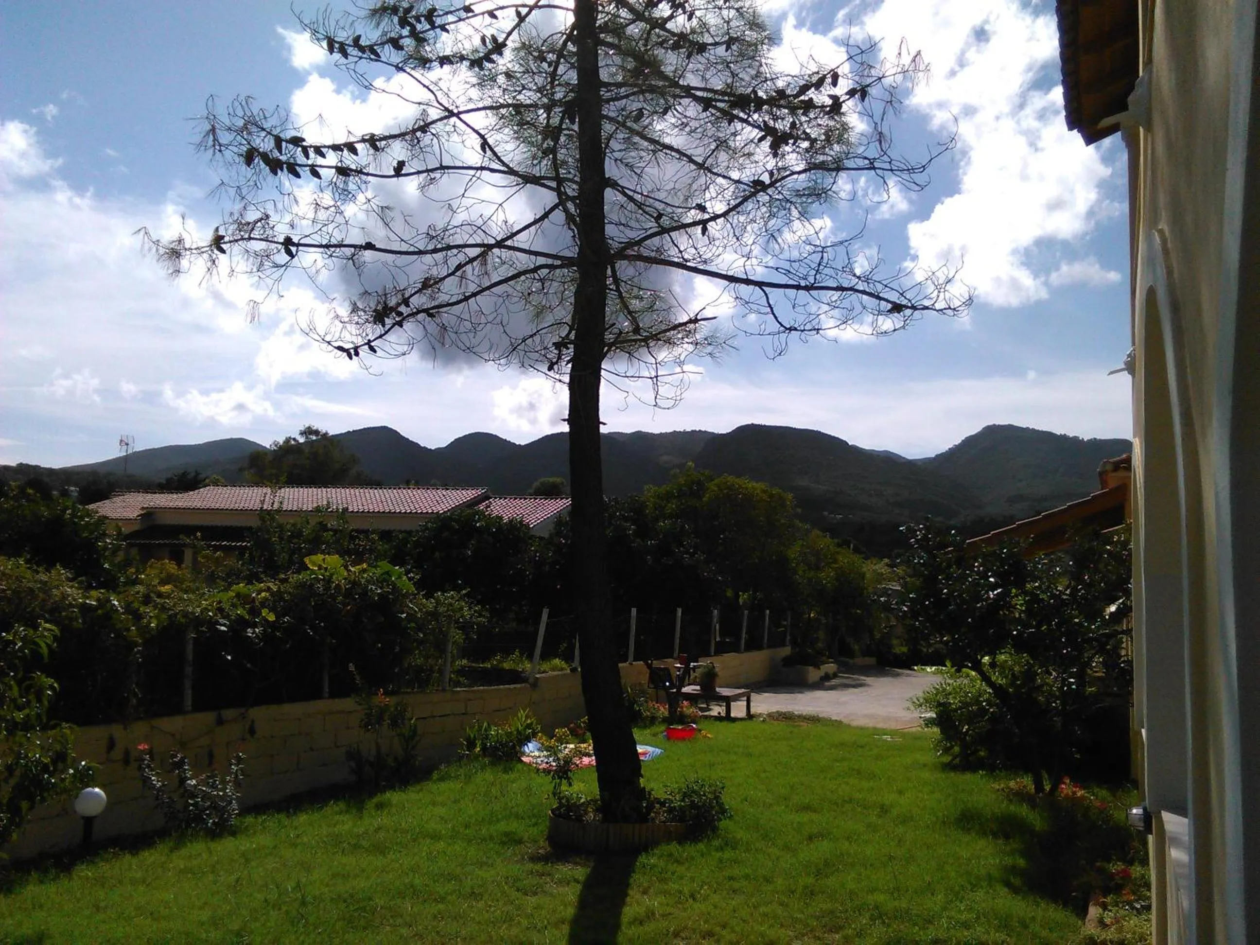 Garden view in Feeloxenia Corfu Apartments