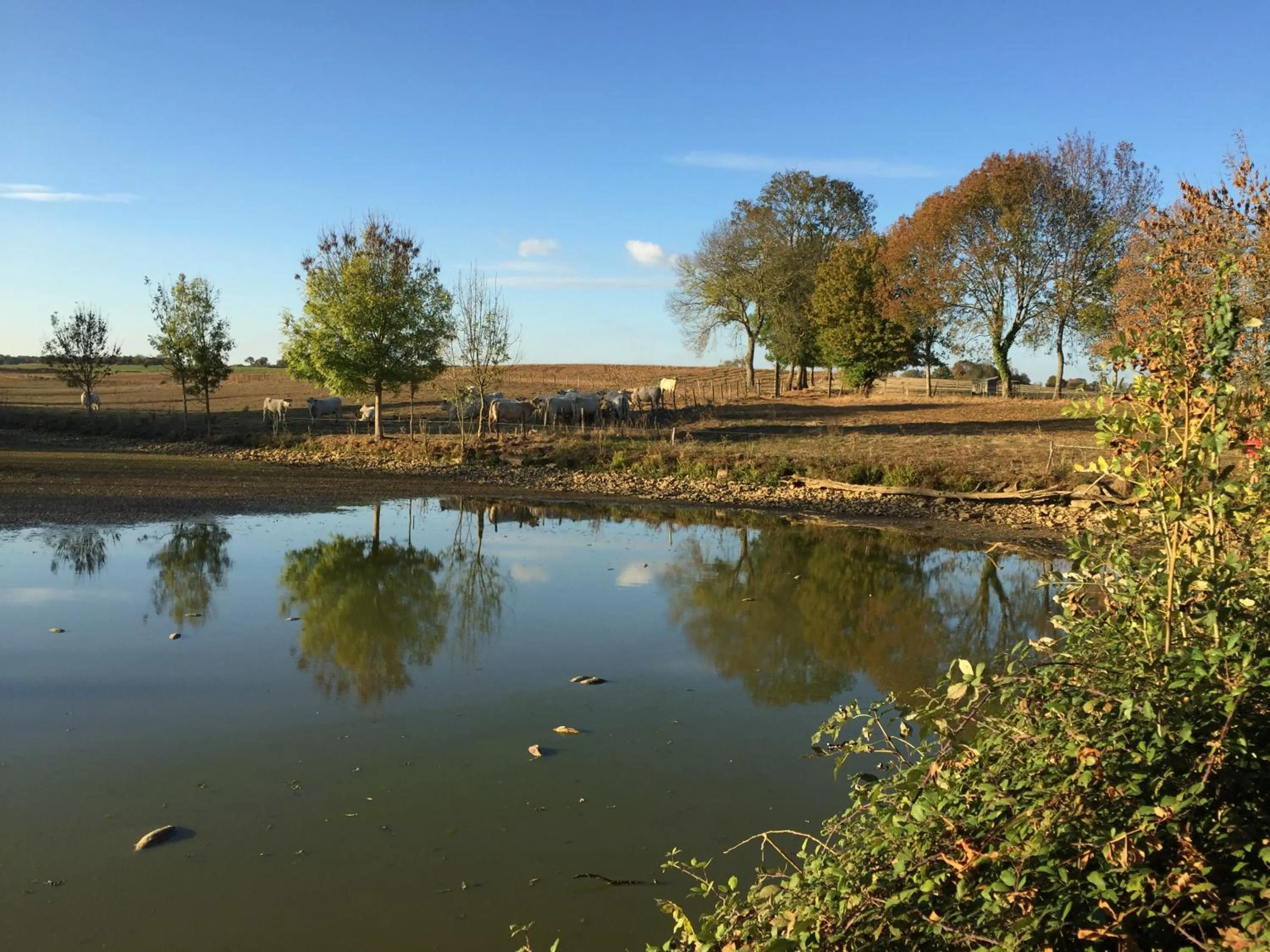 Lake view in Château de SURY