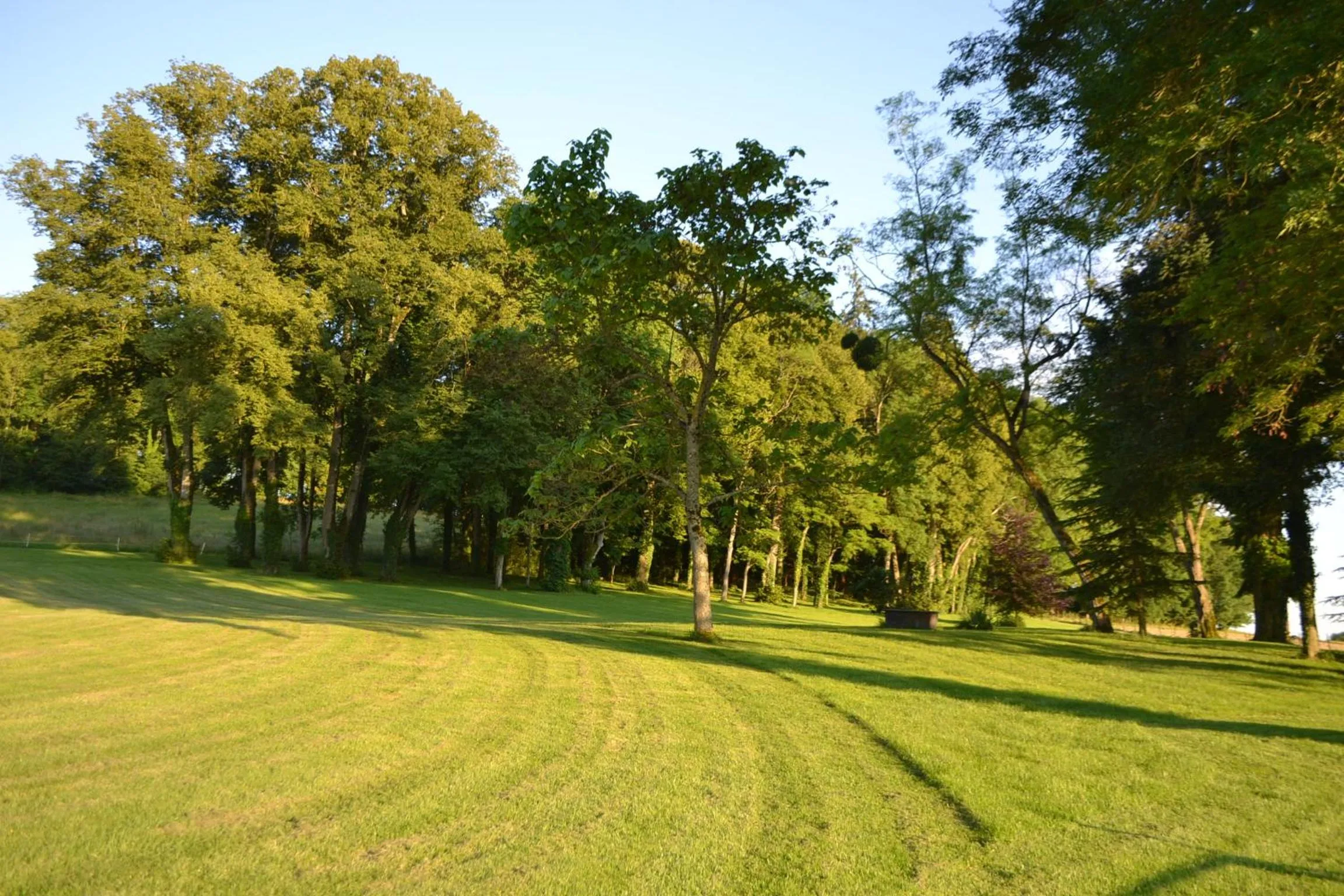 Garden view in Château de SURY