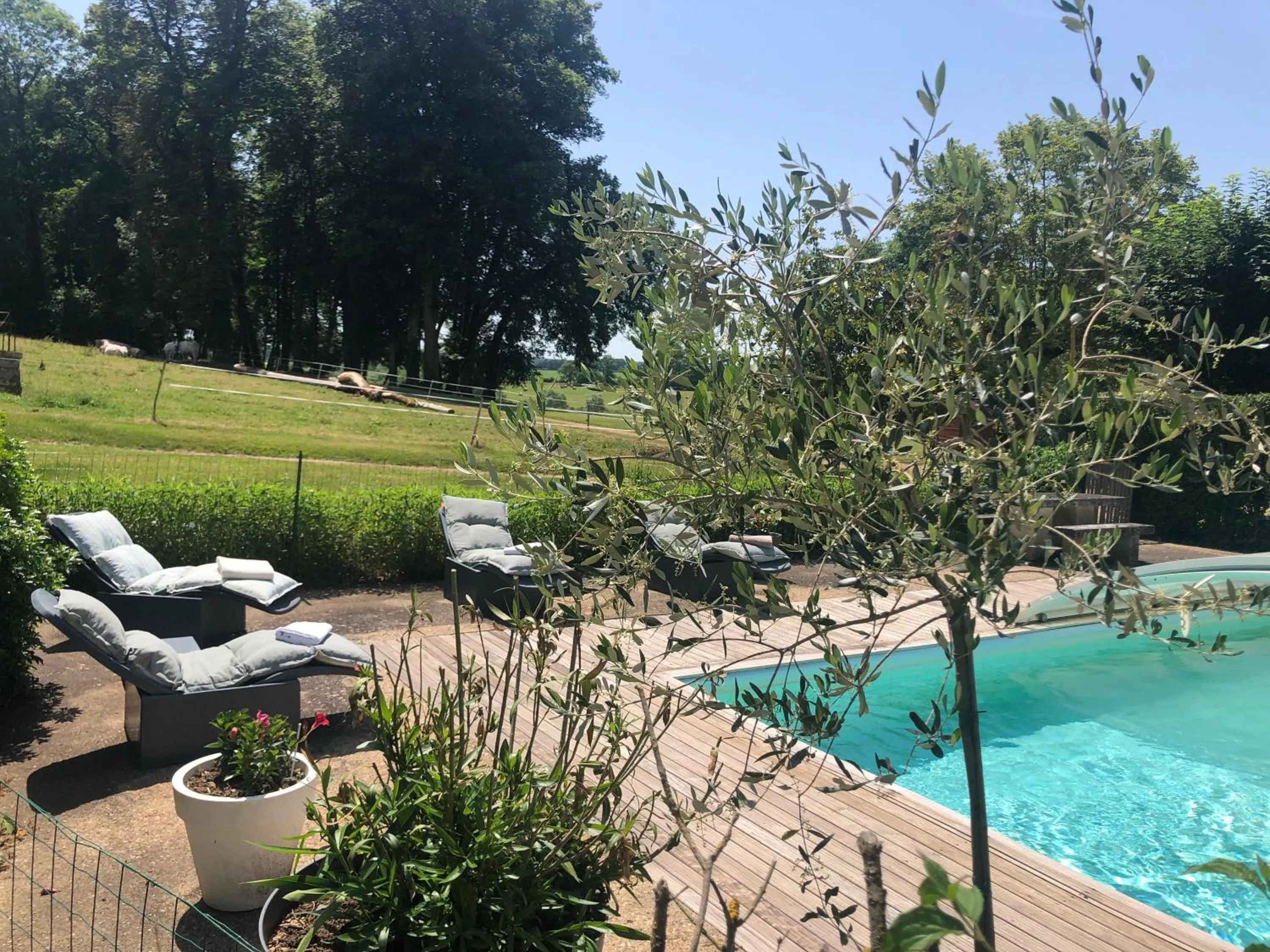 Pool view in Château de SURY