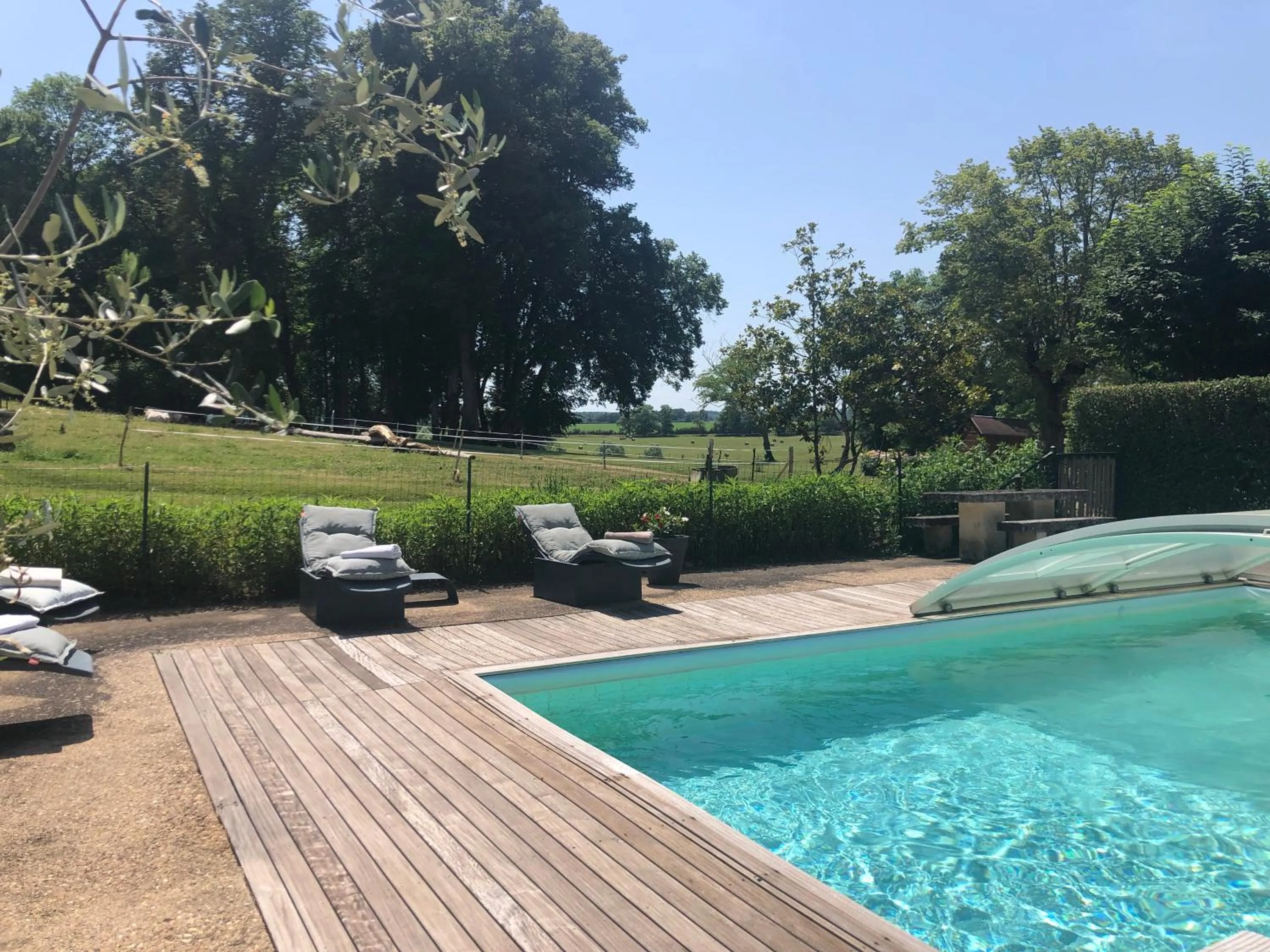 Swimming pool in Château de SURY