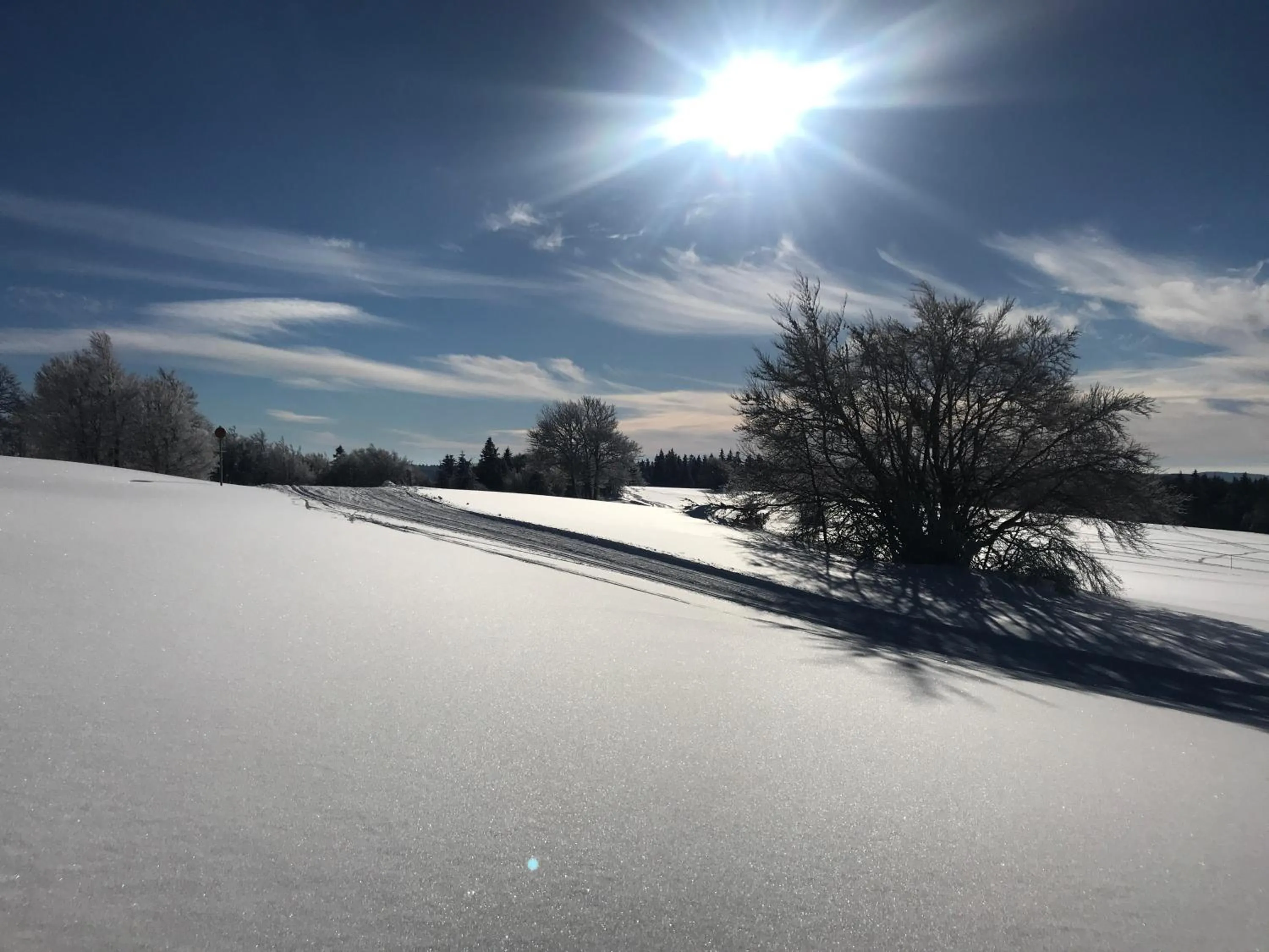 Natural landscape in Chez Jeanmyvonne