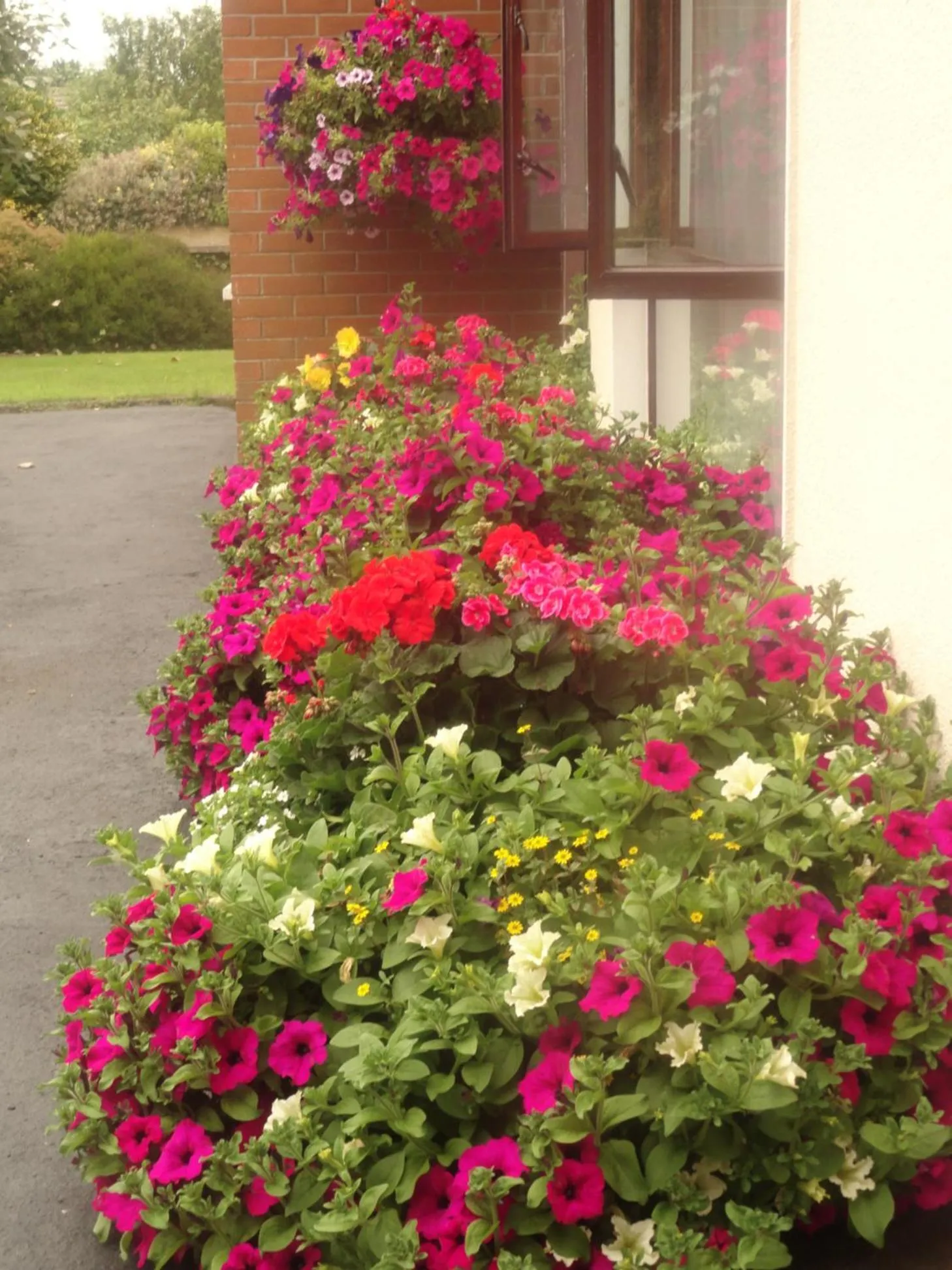 Facade/entrance in Orley House B&B
