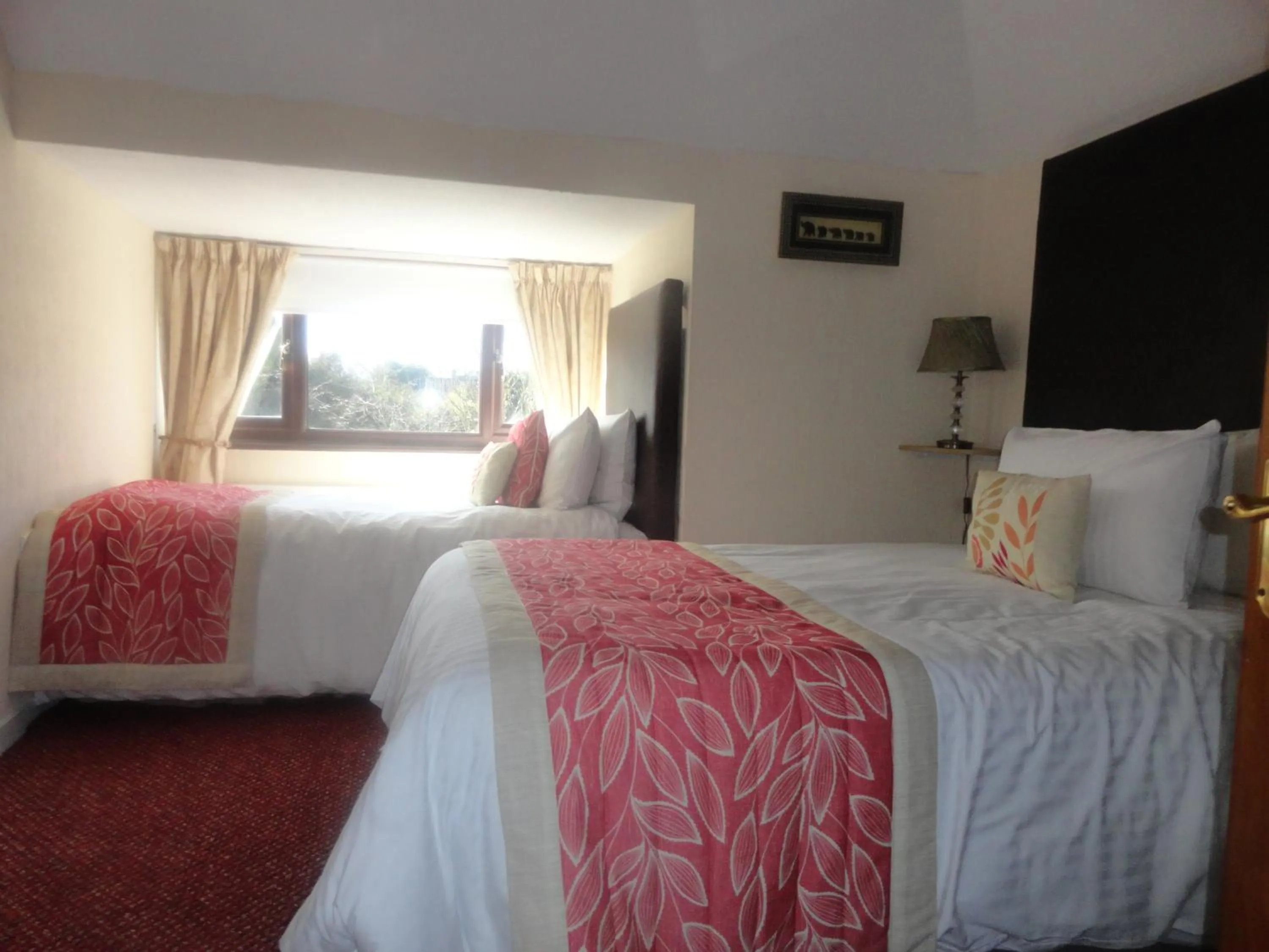 Photo of the whole room in Orley House B&B