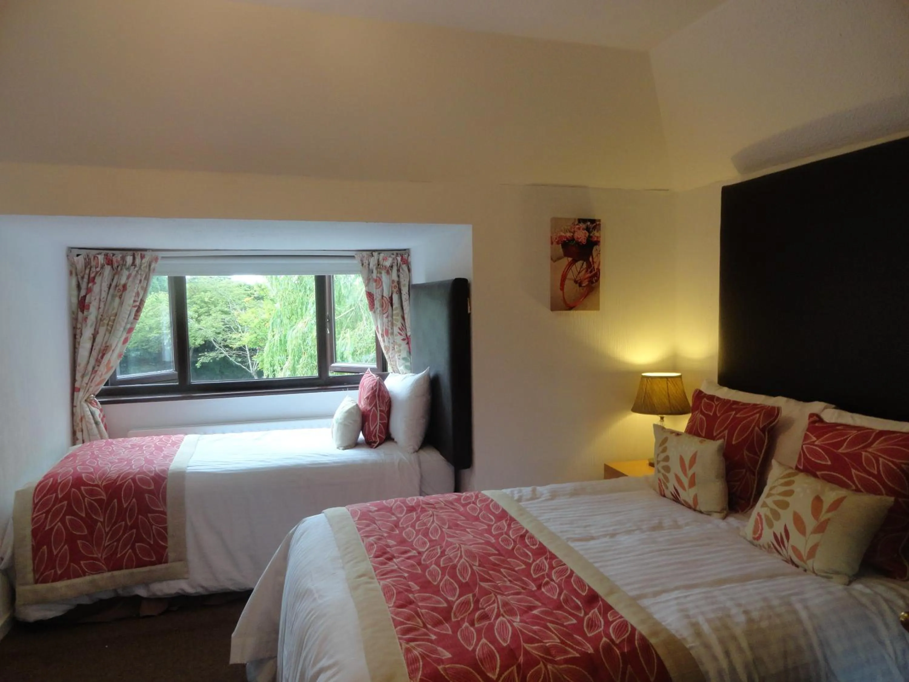 Garden view in Orley House B&B