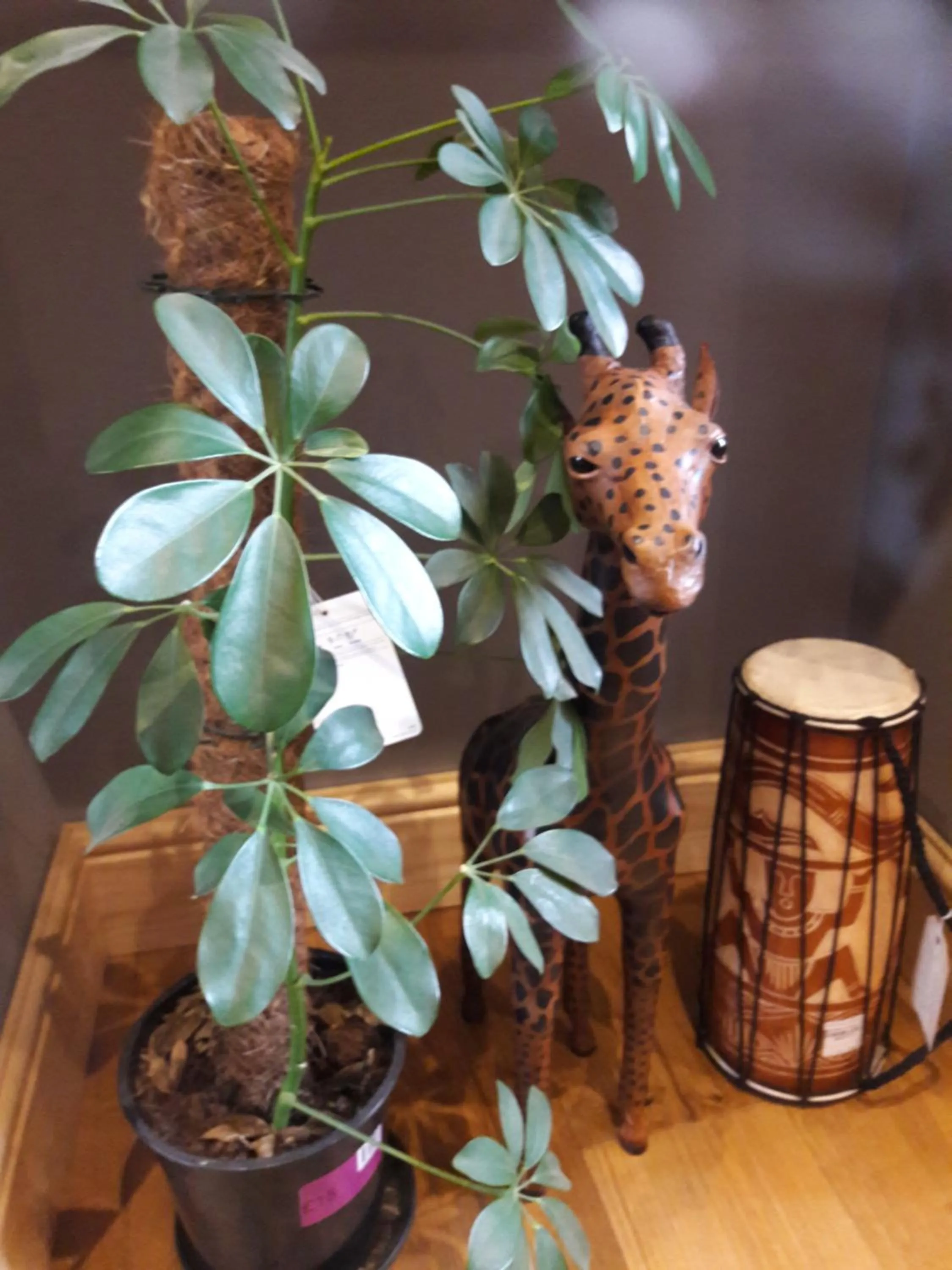 Decorative detail in Simpsons Cottage - Grove Road Cottages