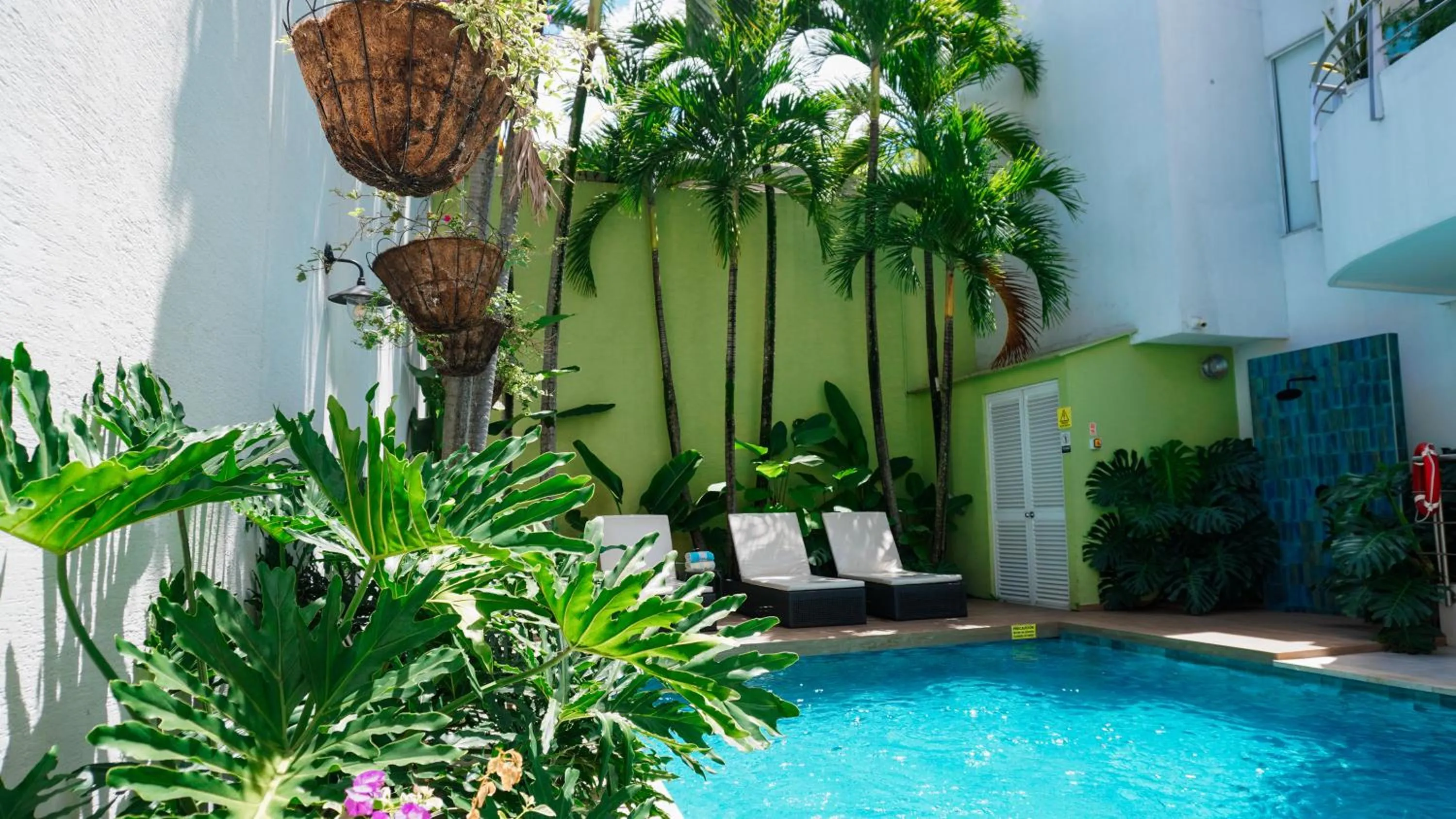 Swimming pool in Malik Hotel Boutique